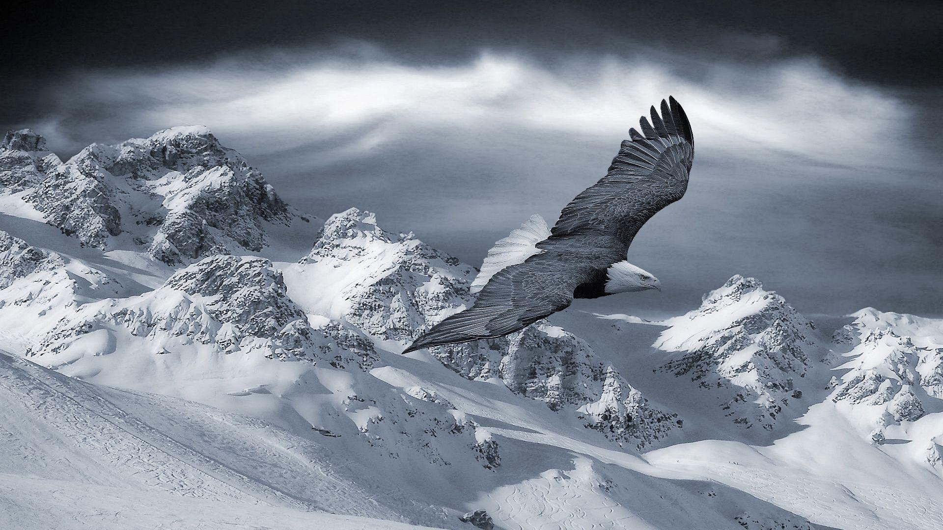 1920x1080 Eagle, Mountain, Sky, Snow, Hills, Birds, Predators Wallpaper Free Download