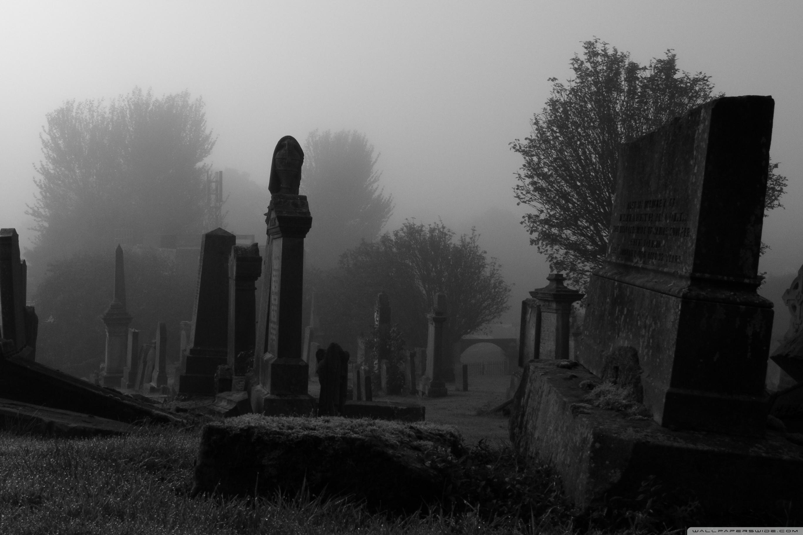 2736x1824 Spooky Cemetery Ultra HD Desktop Background Wallpaper for 4K UHD TV : Widescreen & UltraWide Desktop & Laptop : Tablet