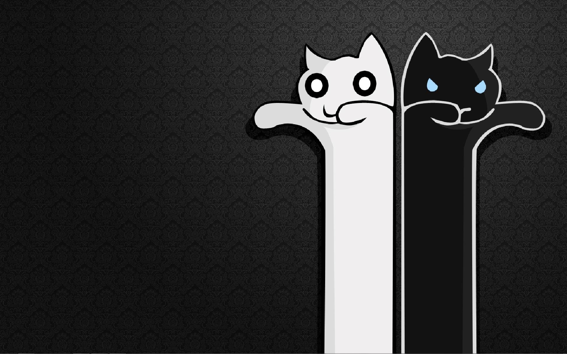 1920x1200 black white cats longcat tacgnol 1920x1200 wallpaper