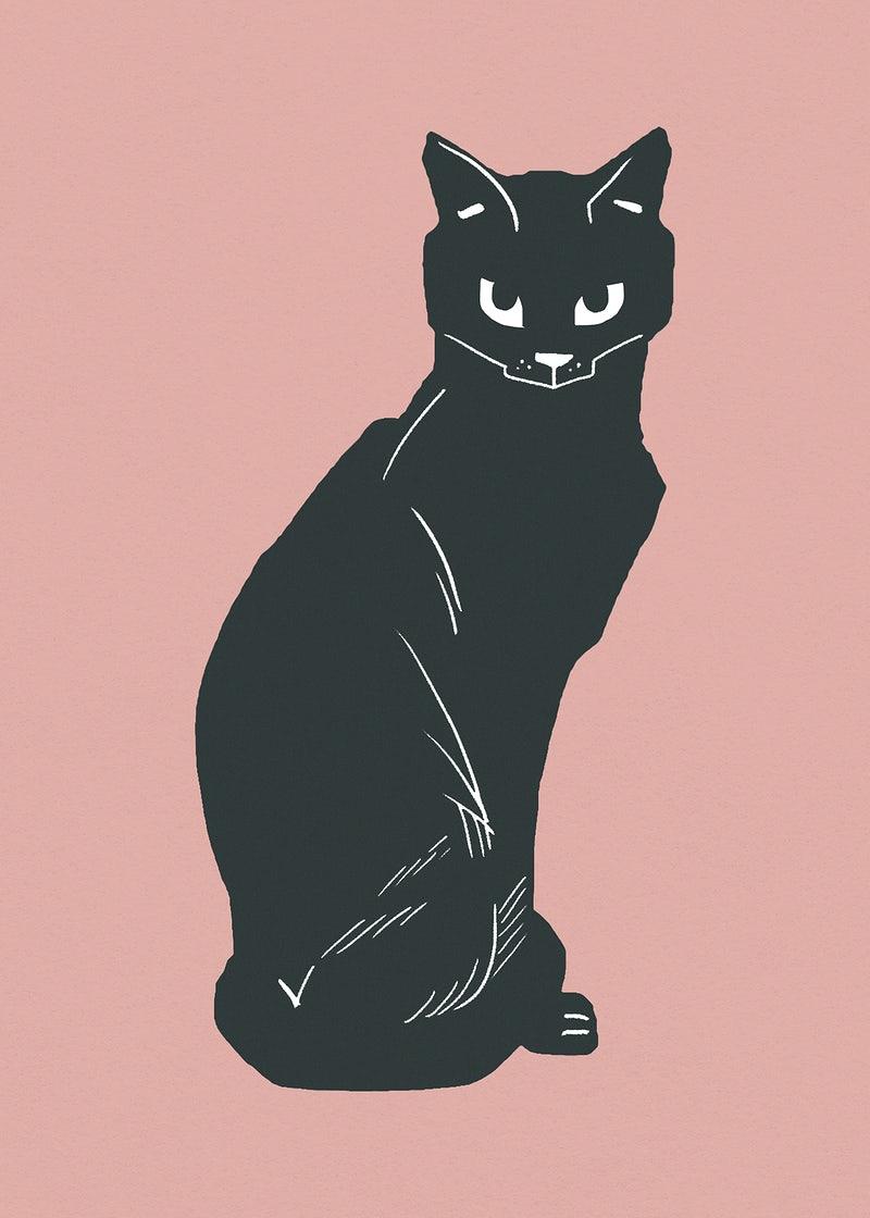 800x1120 Black Cat Image Wallpaper