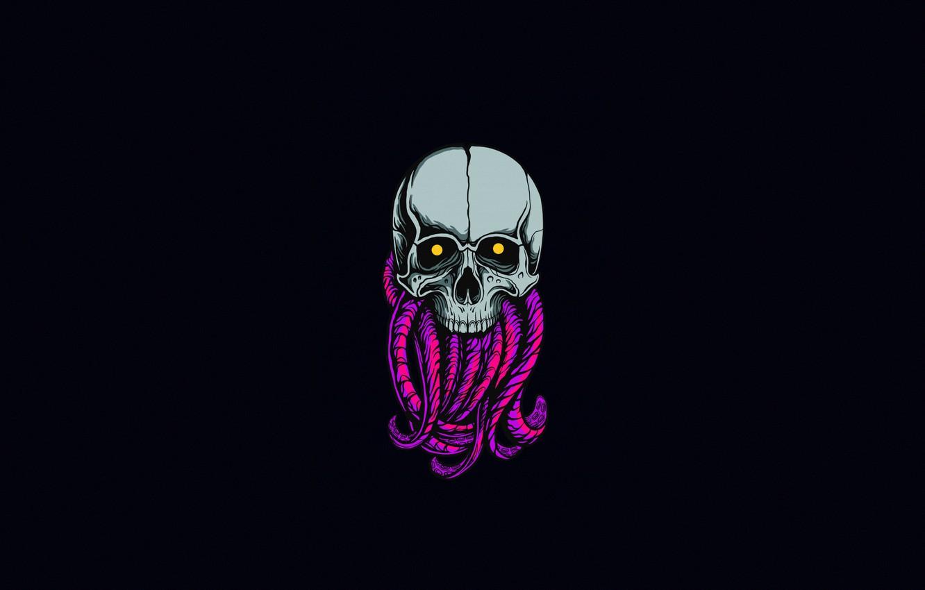 1332x850 Free download Wallpaper Minimalism Skull Style Background Art Art [1332x850] for your Desktop, Mobile & Tablet. Explore Sake Background. Sake Background
