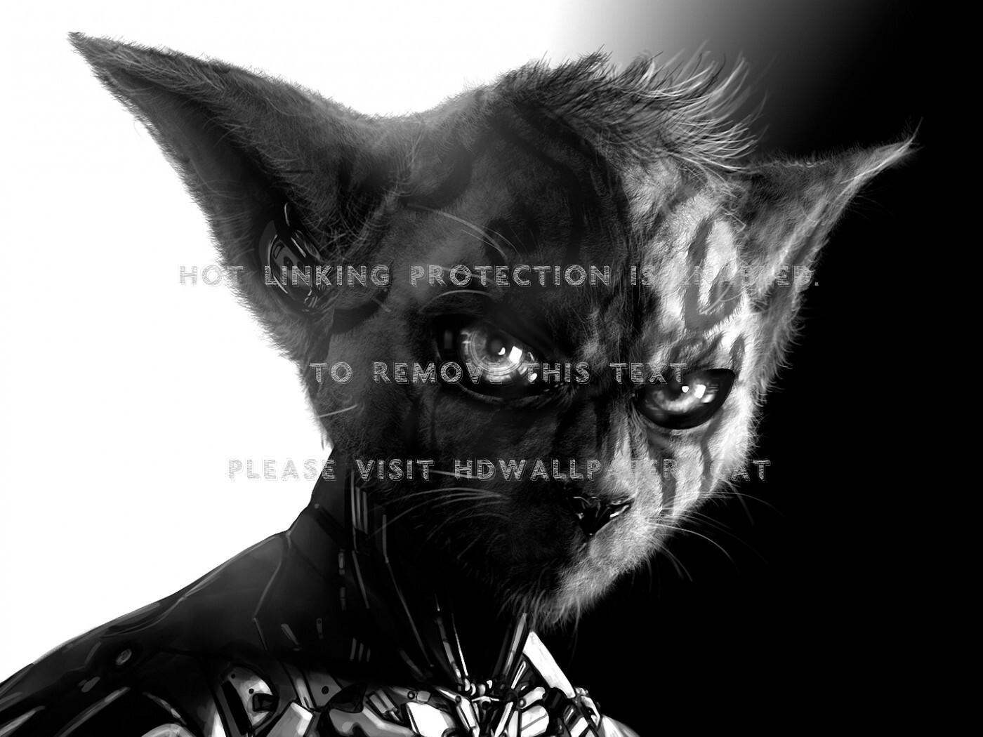 1400x1050 evil cat art darknes fantasy bad look