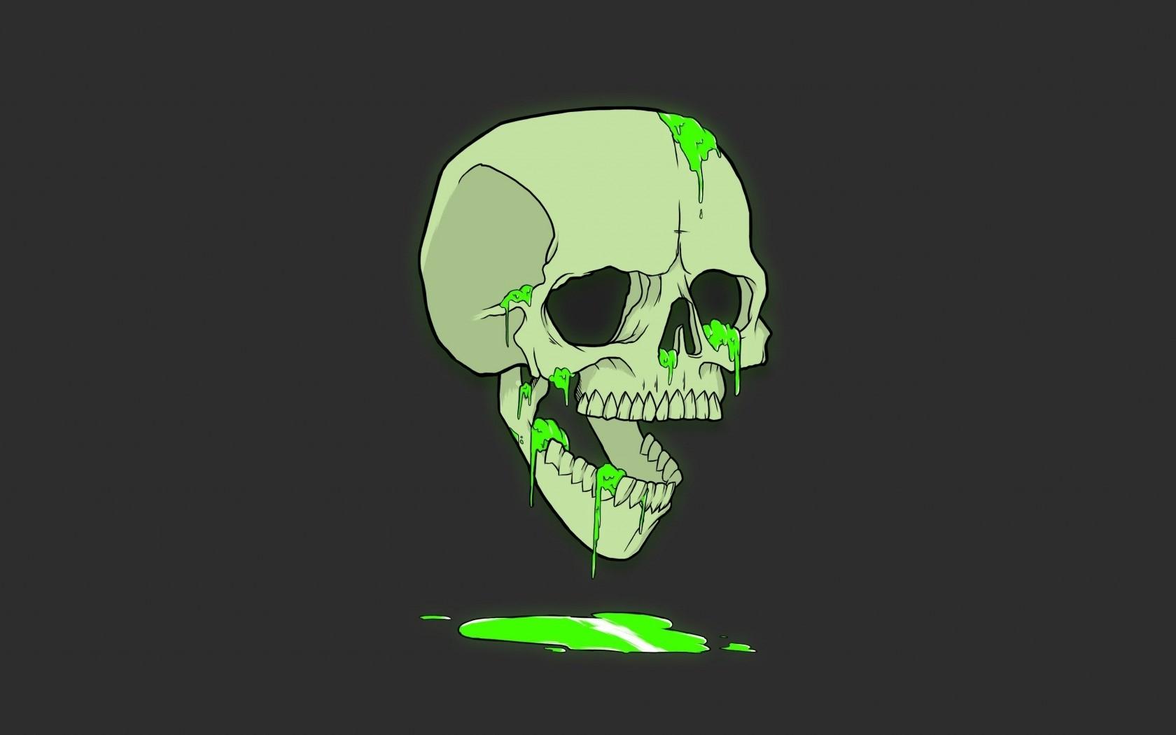 1680x1050 1680x1050 skull bones artwork humor minimalism green wallpaper JPG 101 kB