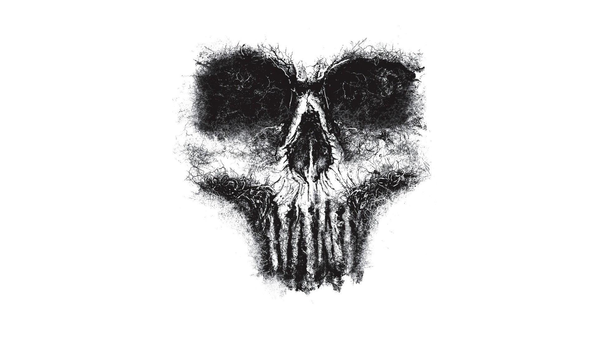 1920x1080 Minimal Skull