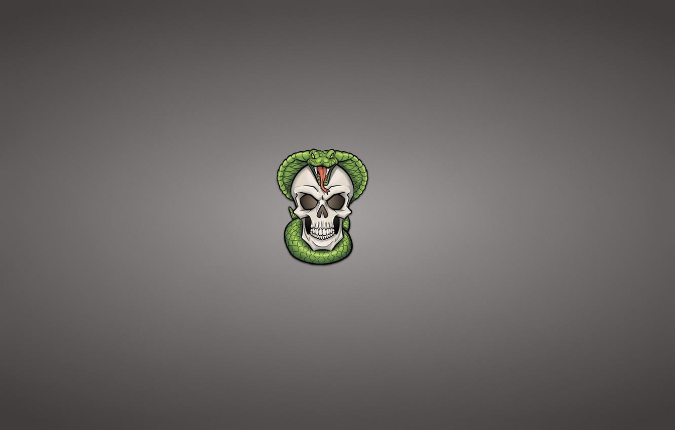 1332x850 Wallpaper skull, snake, minimalism, head, skeleton, Cobra image for desktop, section минимализм