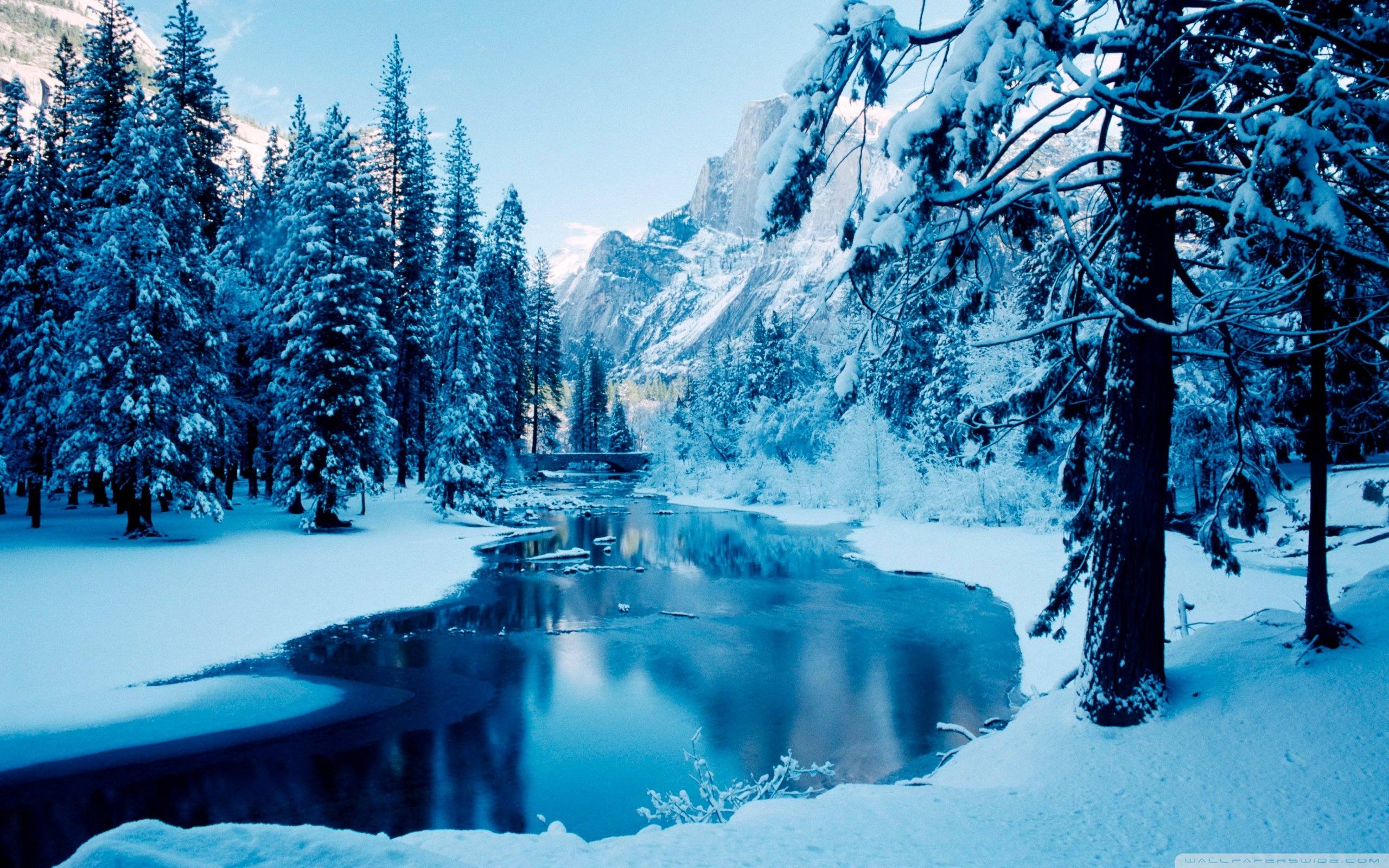 2560x1600 Winter Landscape Wallpaper HD Cool Resolution Winter Background