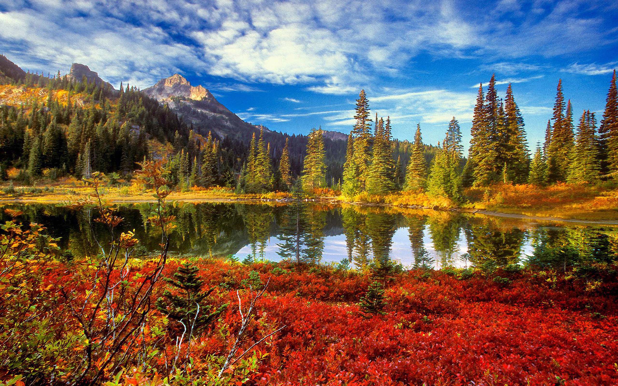 2560x1600 Tatoosh Wilderness Mount Rainier National Park Washington Landscape :