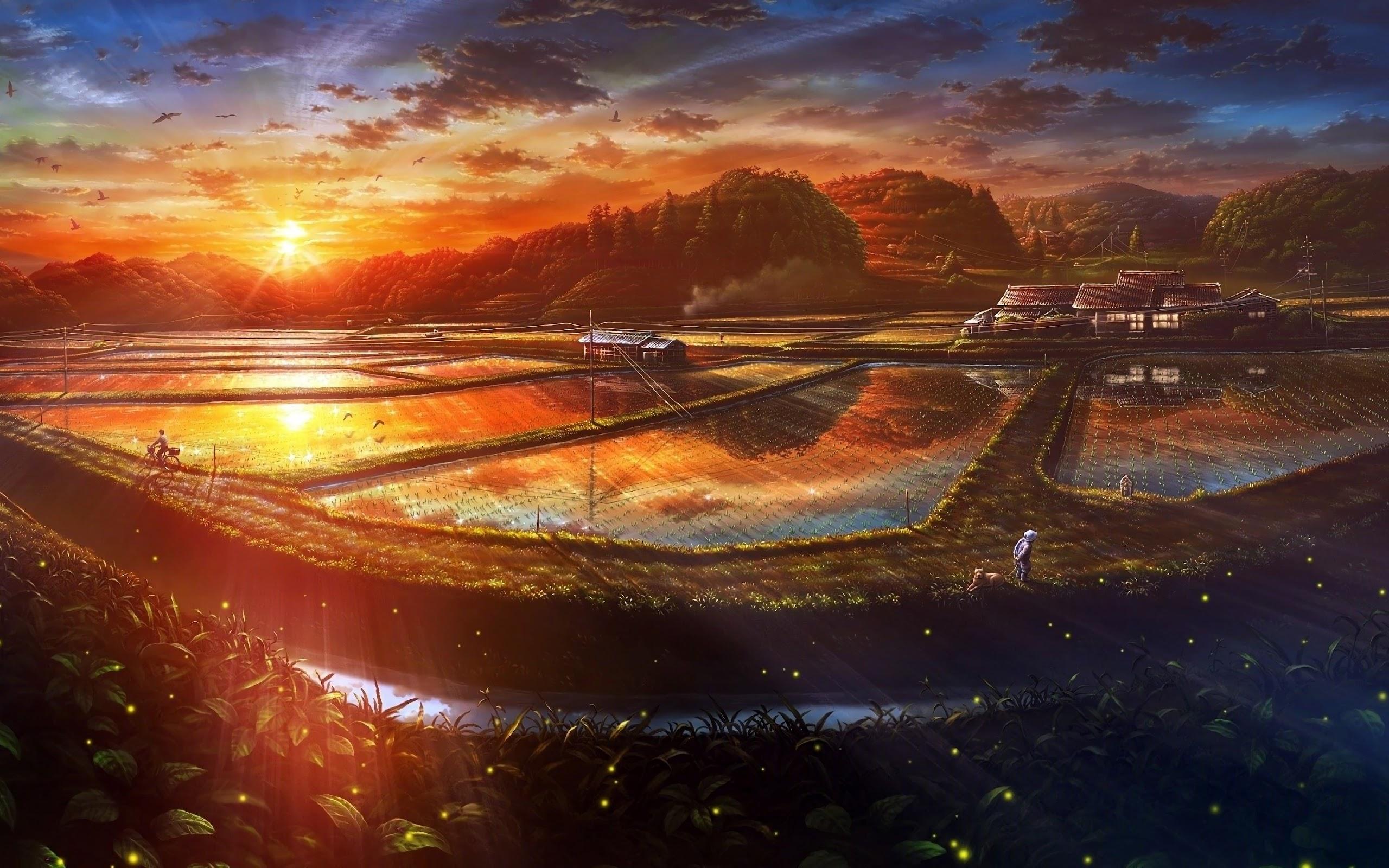 2560x1600 Sunset Paddy Field Nature Scenery Landscape Anime 4K Wallpaper