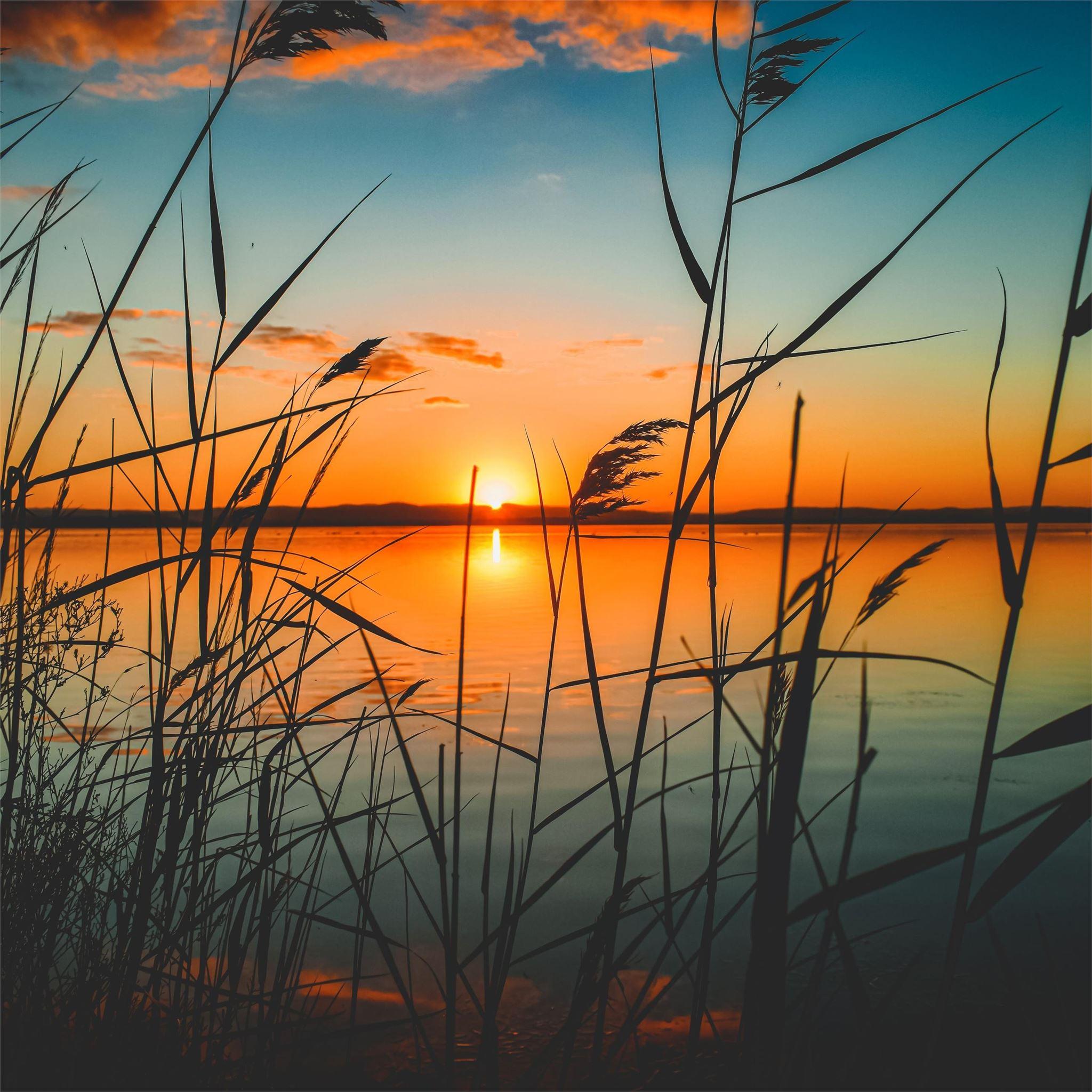 2048x2048 scenic view of lake during sunset 5k iPad Air Wallpaper Free Download
