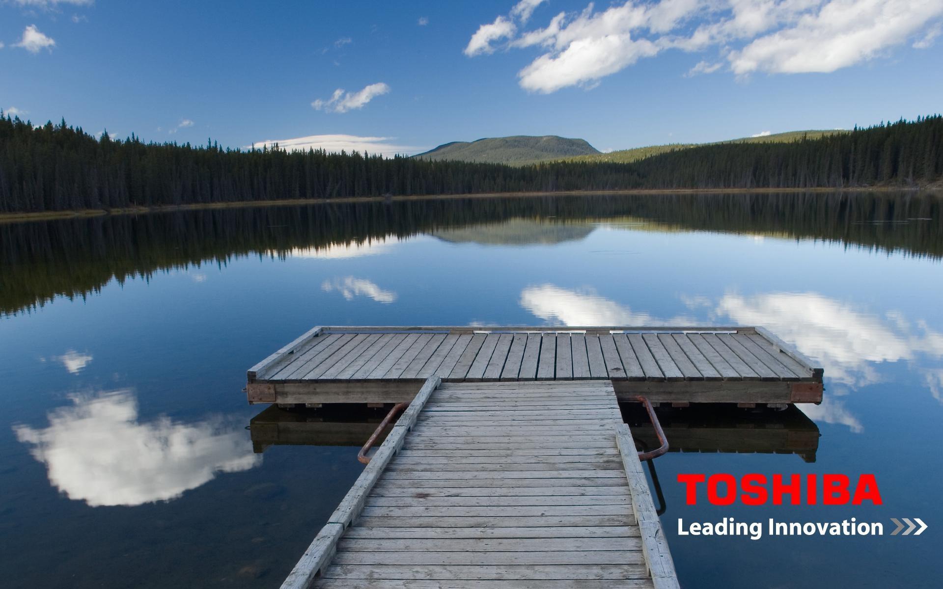 1920x1200 Original Wallpaper of 2009 Toshiba Satellite Series (Link is at the comment section): toshiba