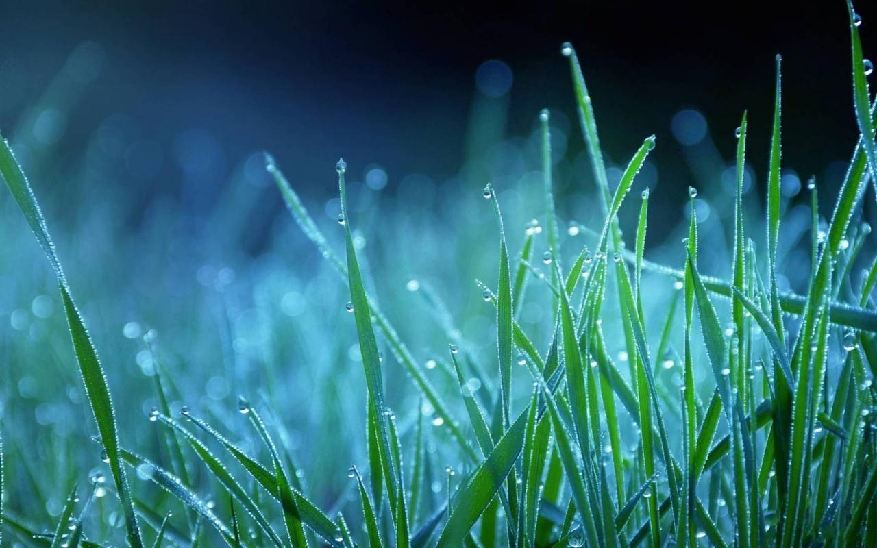 1280x800 natural rainy season wallpaper for desktop it up