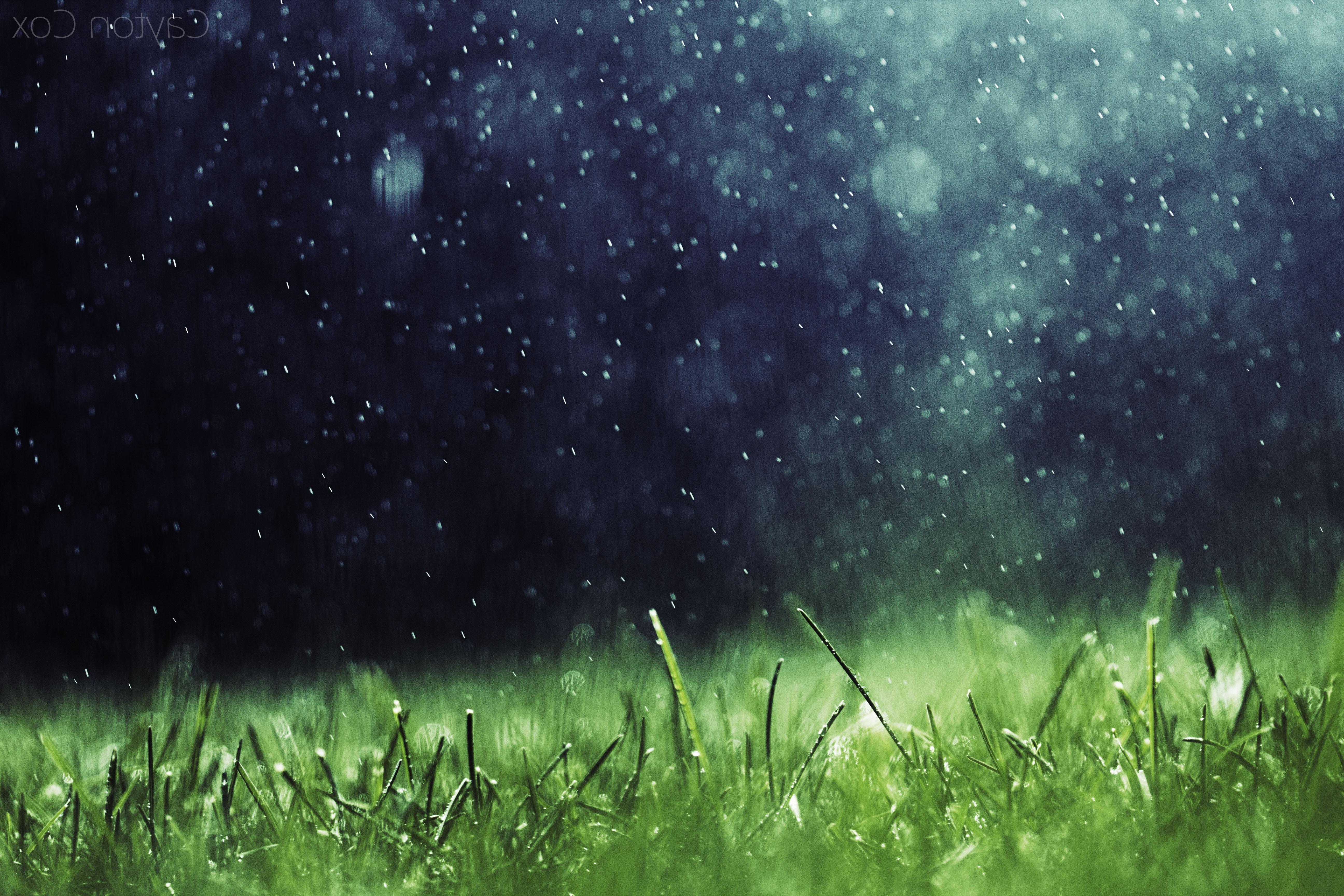 5184x3456 artwork nature rain grass wallpaper