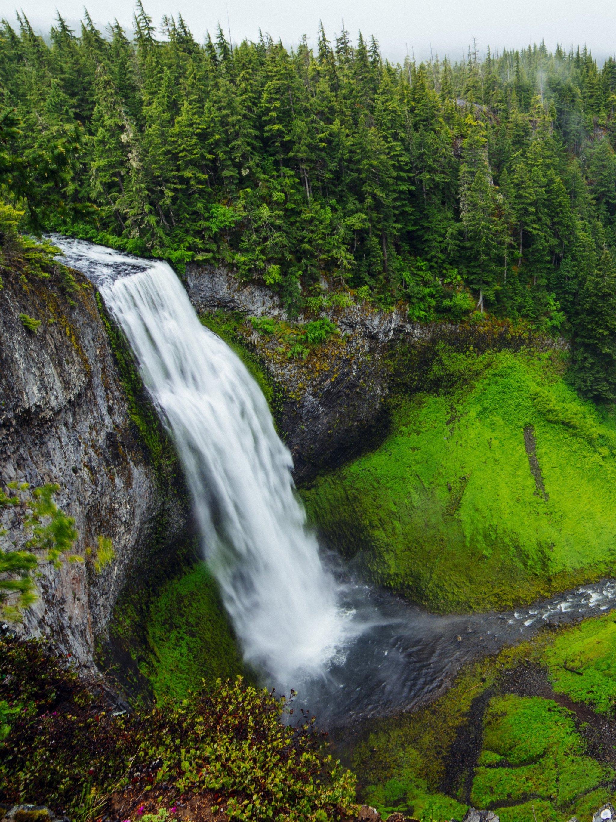 2048x2732 Waterfall in Forest Wallpaper, Android & Desktop Background