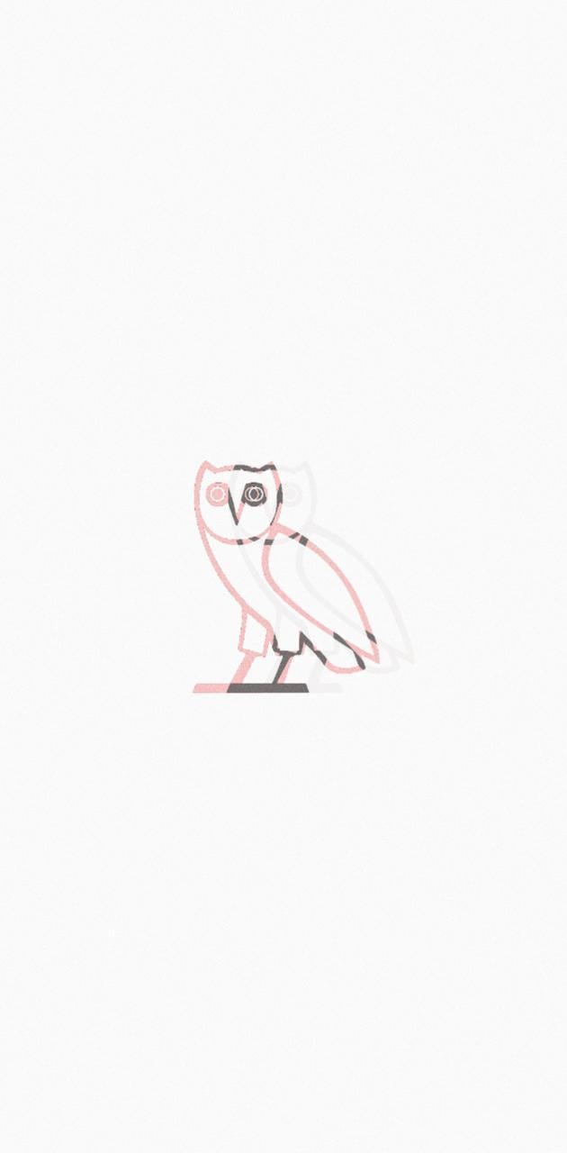 White Ovo Owl Wallpapers - Top Free White Ovo Owl Backgrounds ...