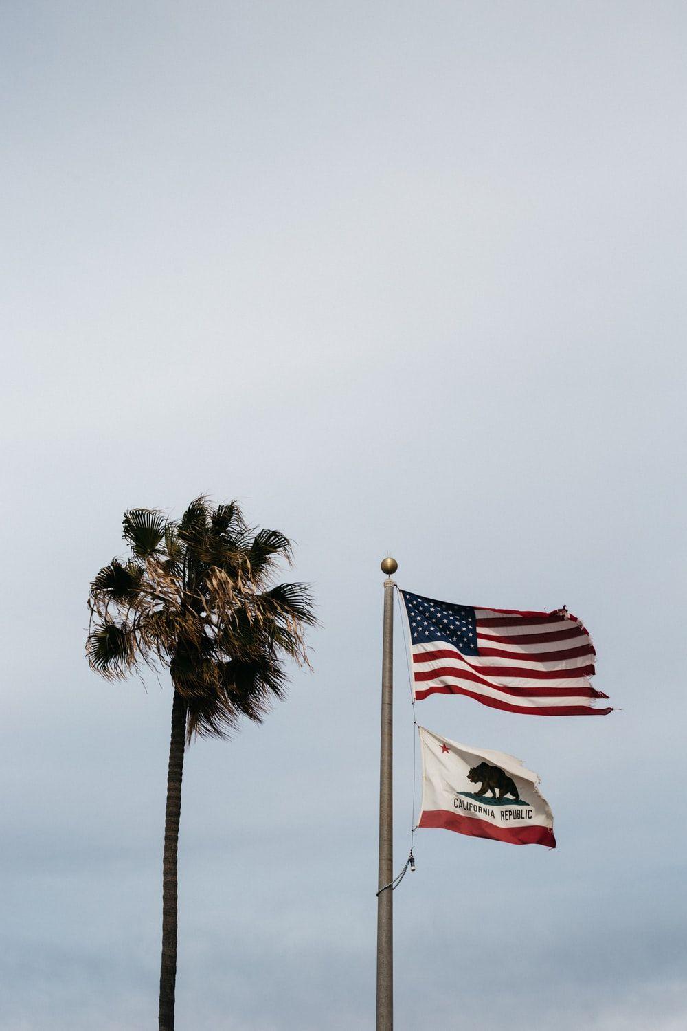 1000x1500 California Flag Wallpaper