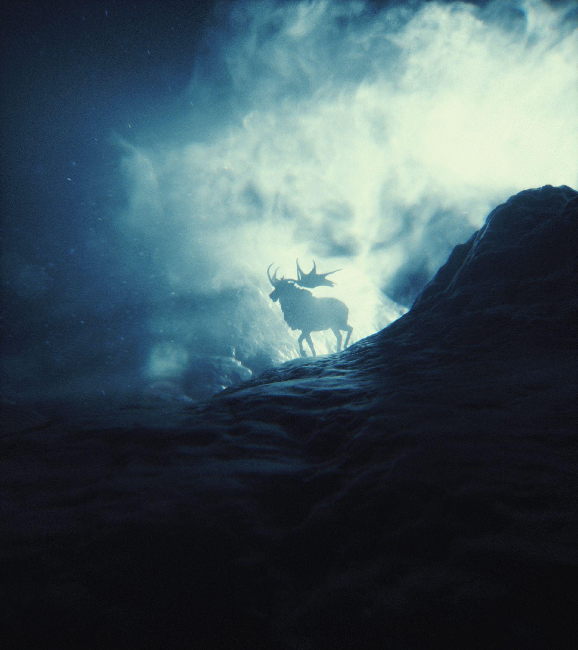 1920x2160 Wallpaper