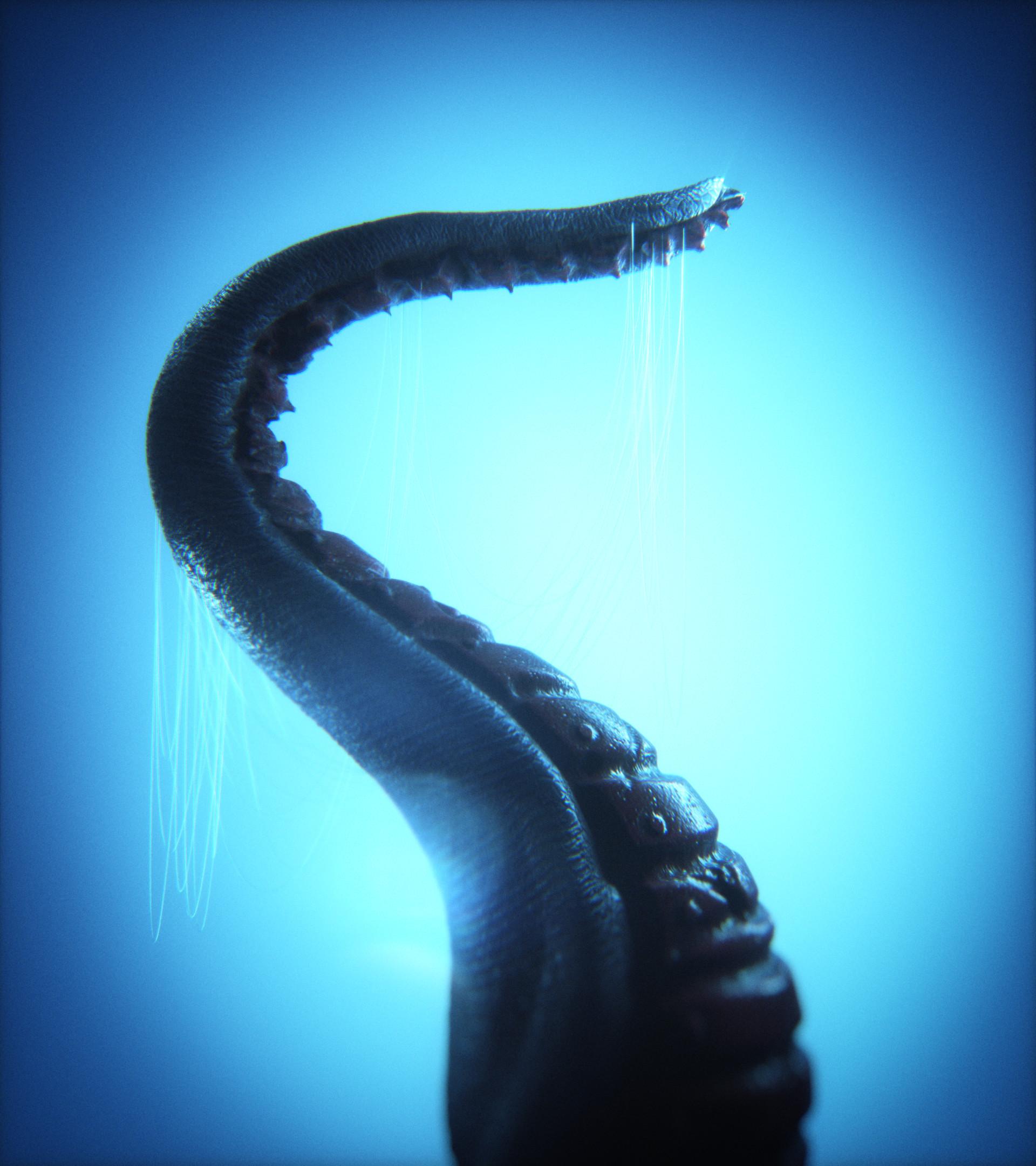 1920x2160 wallpaper, blue, water, organism, hand, jaw, neck
