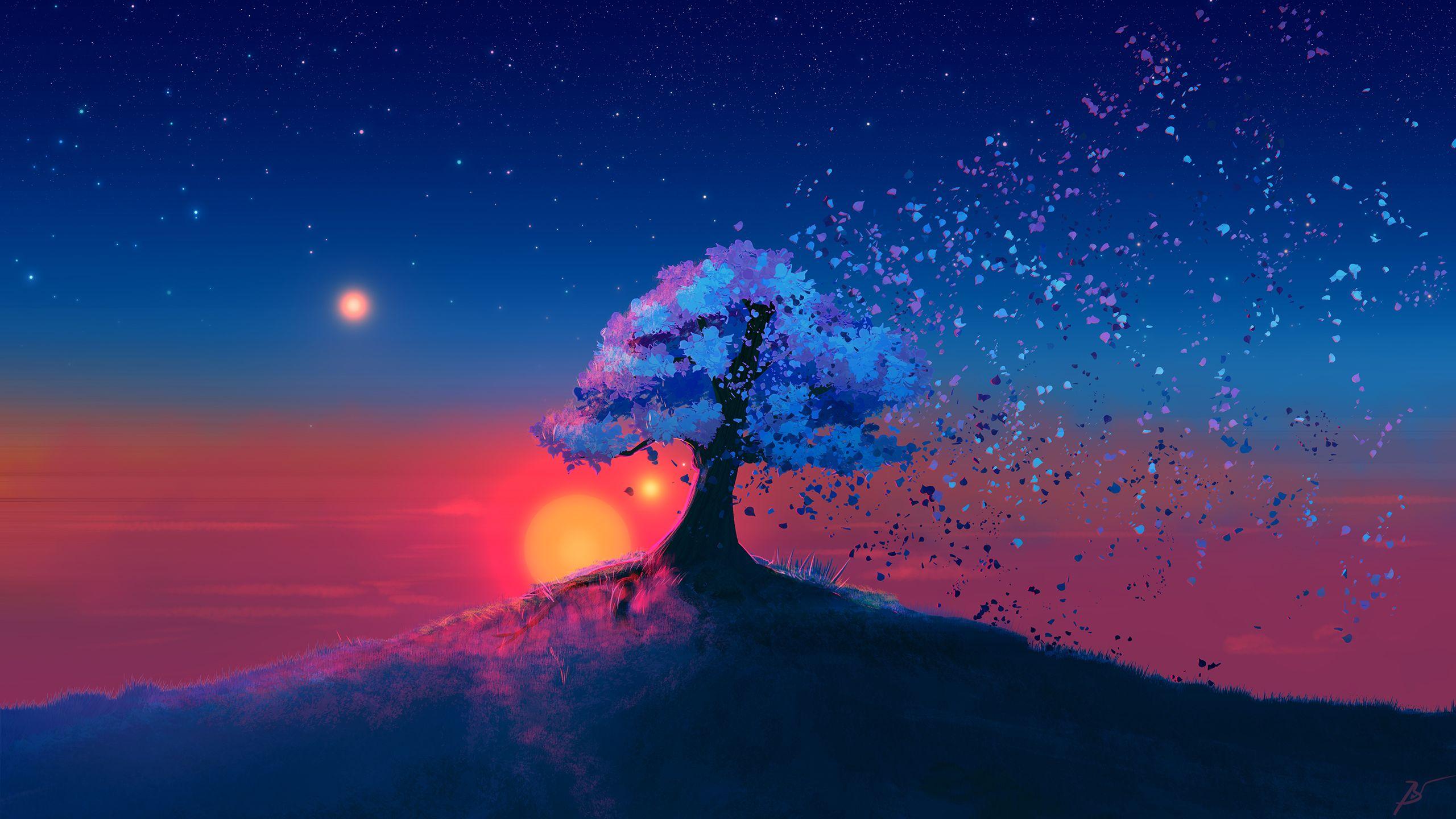 2560x1440 Mystical Night Sky Wallpaper