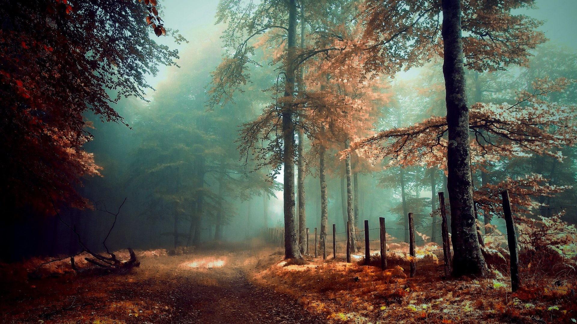 1920x1080 Mystical