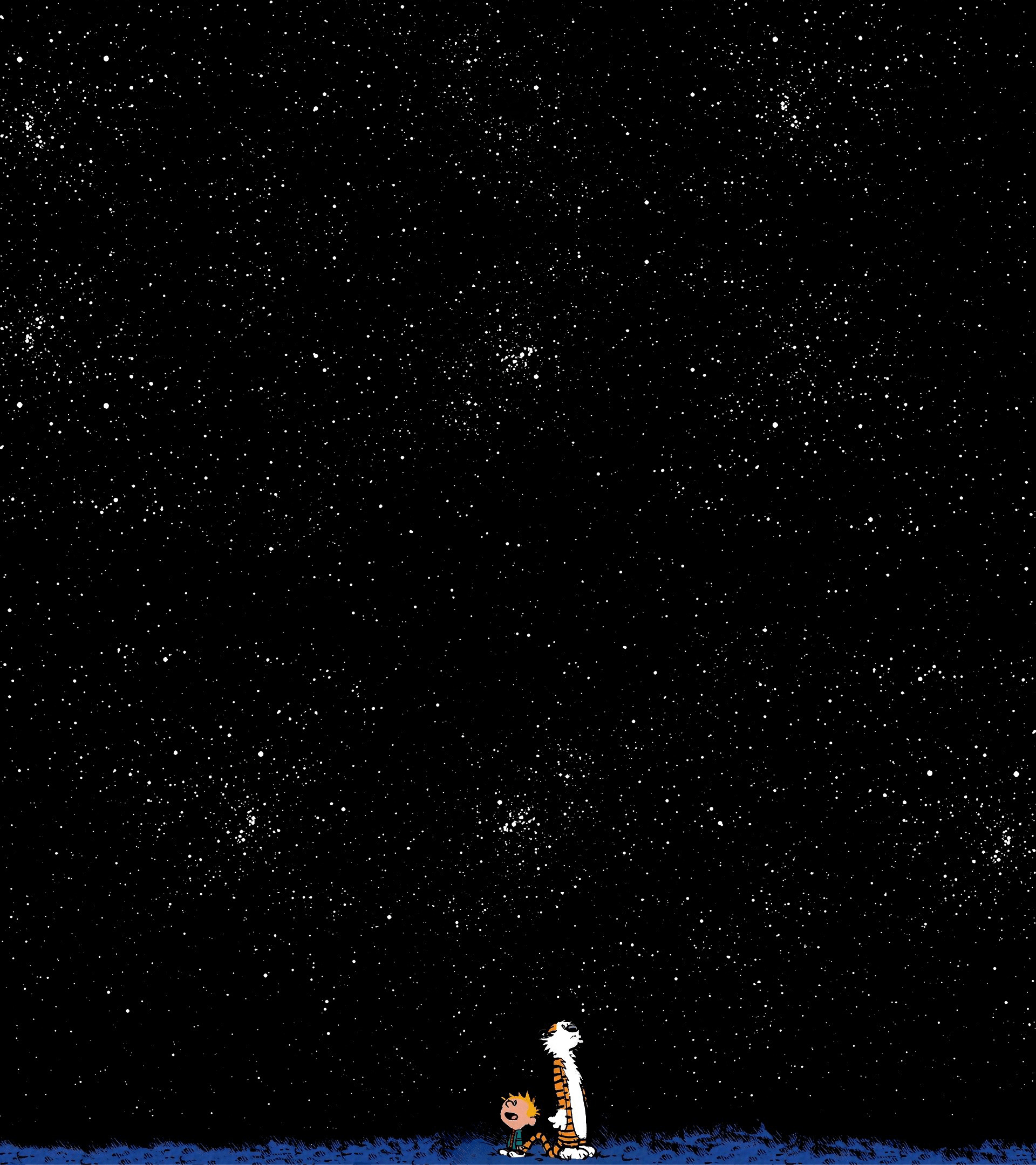 1920x2160 Calvin And Hobbes Night Sky HD Wallpaper