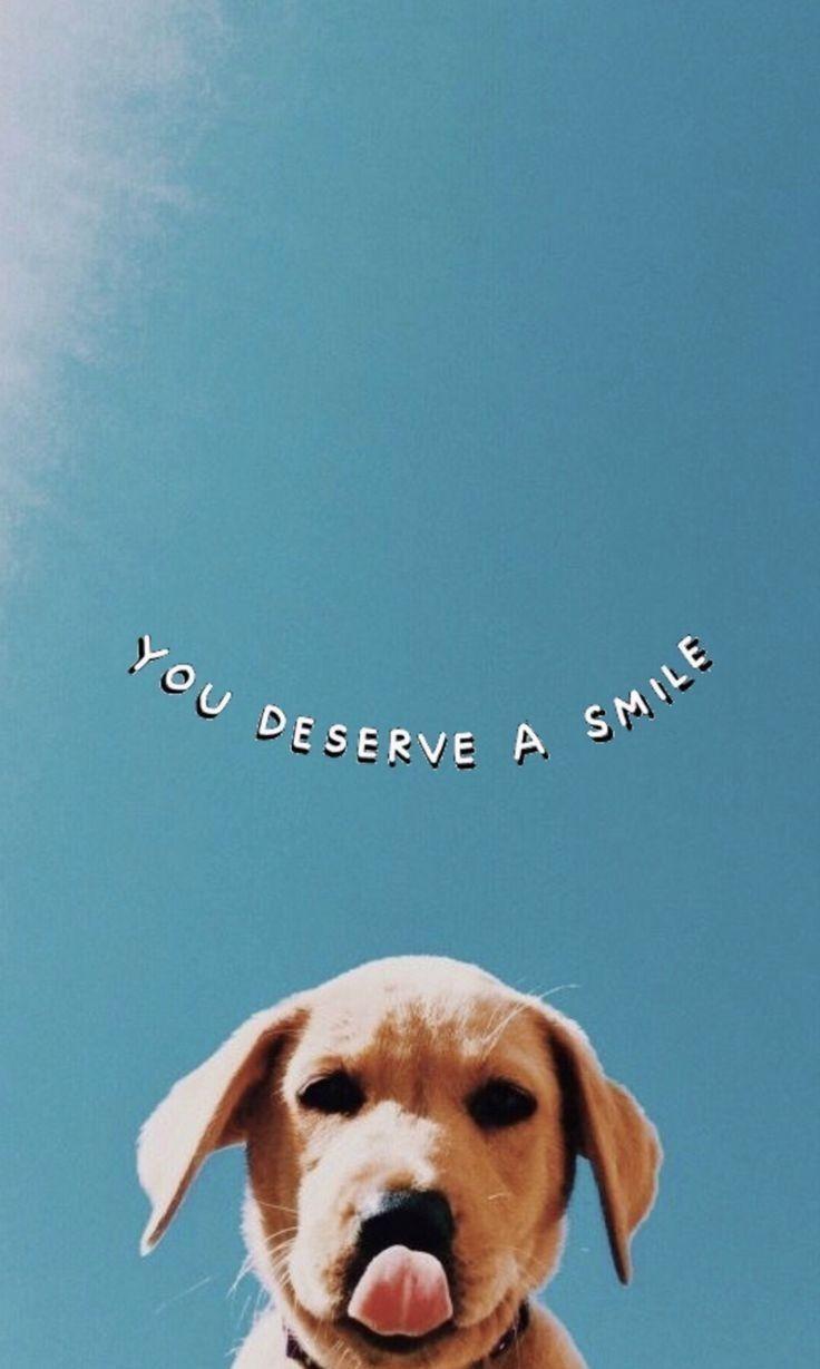 736x1229 Aesthetic Puppy Wallpaper