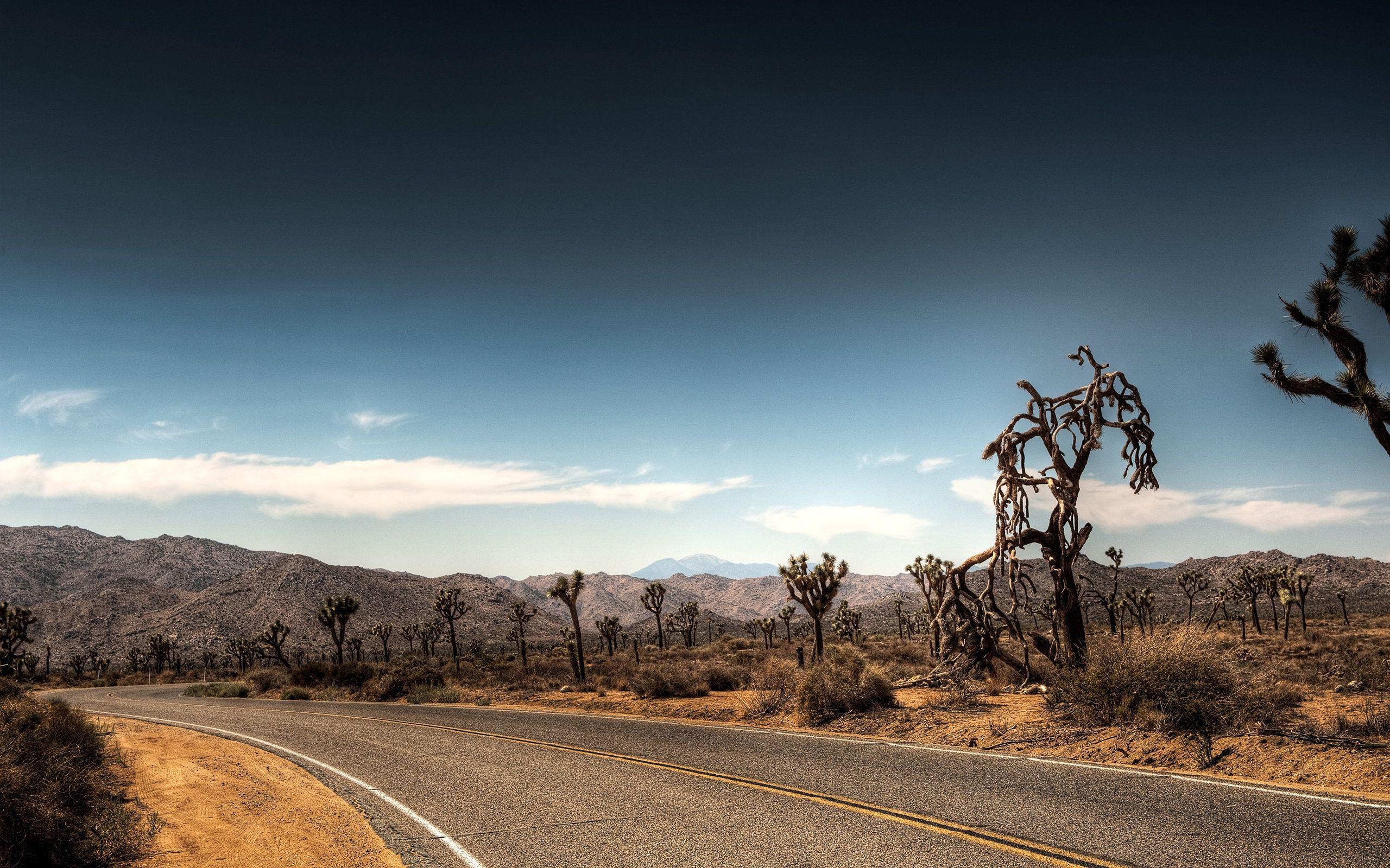 2560x1600 Amazing Desert Landscape Wallpaper