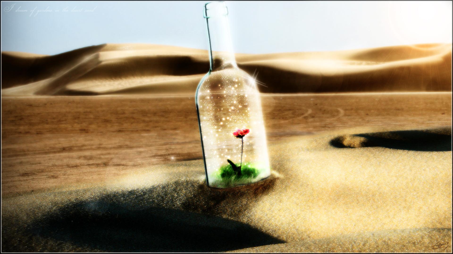 1920x1080 Garden in the desert HD wallpaper, Background