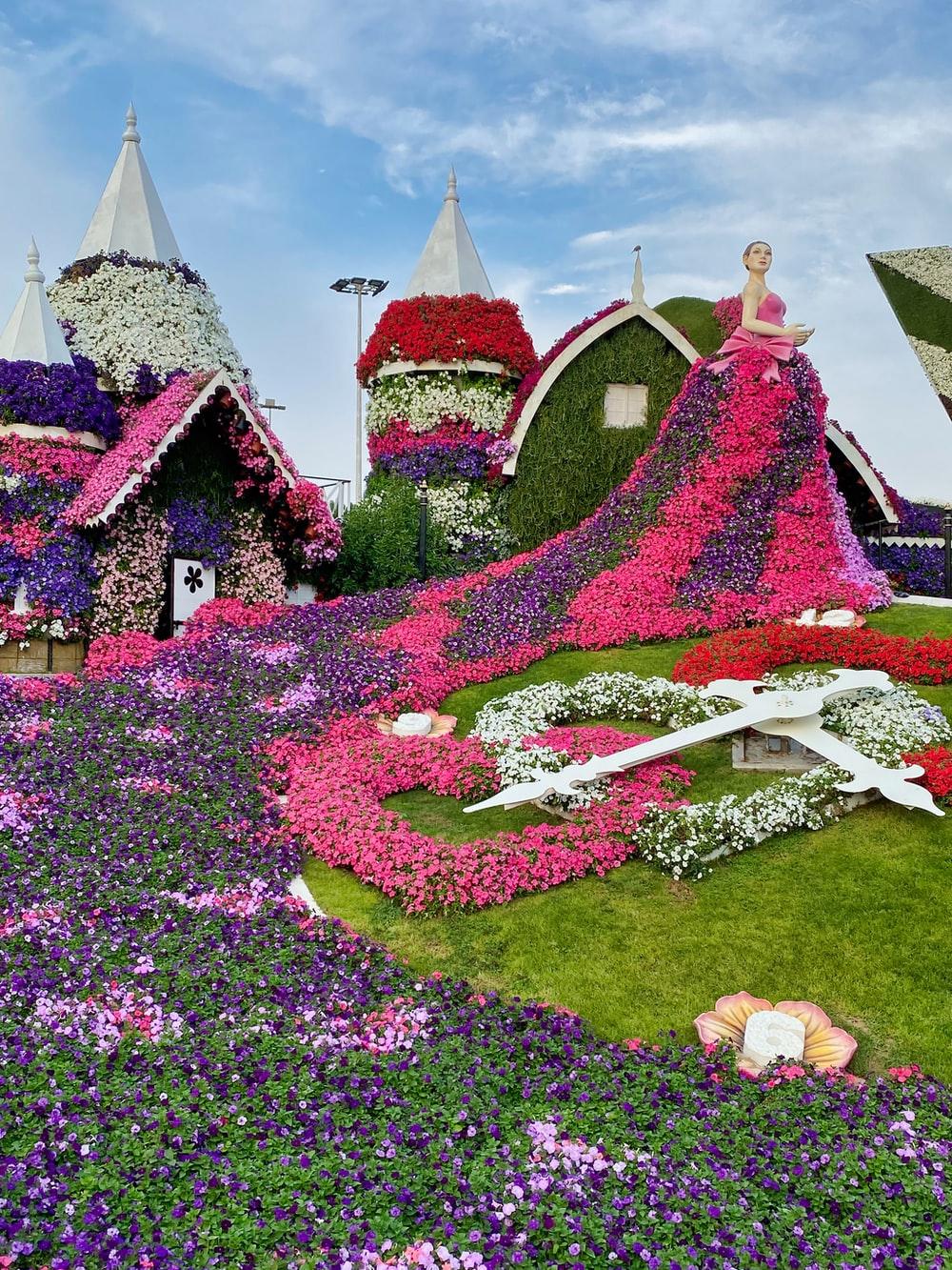 1000x1333 Dubai Miracle Garden Picture. Download Free Image