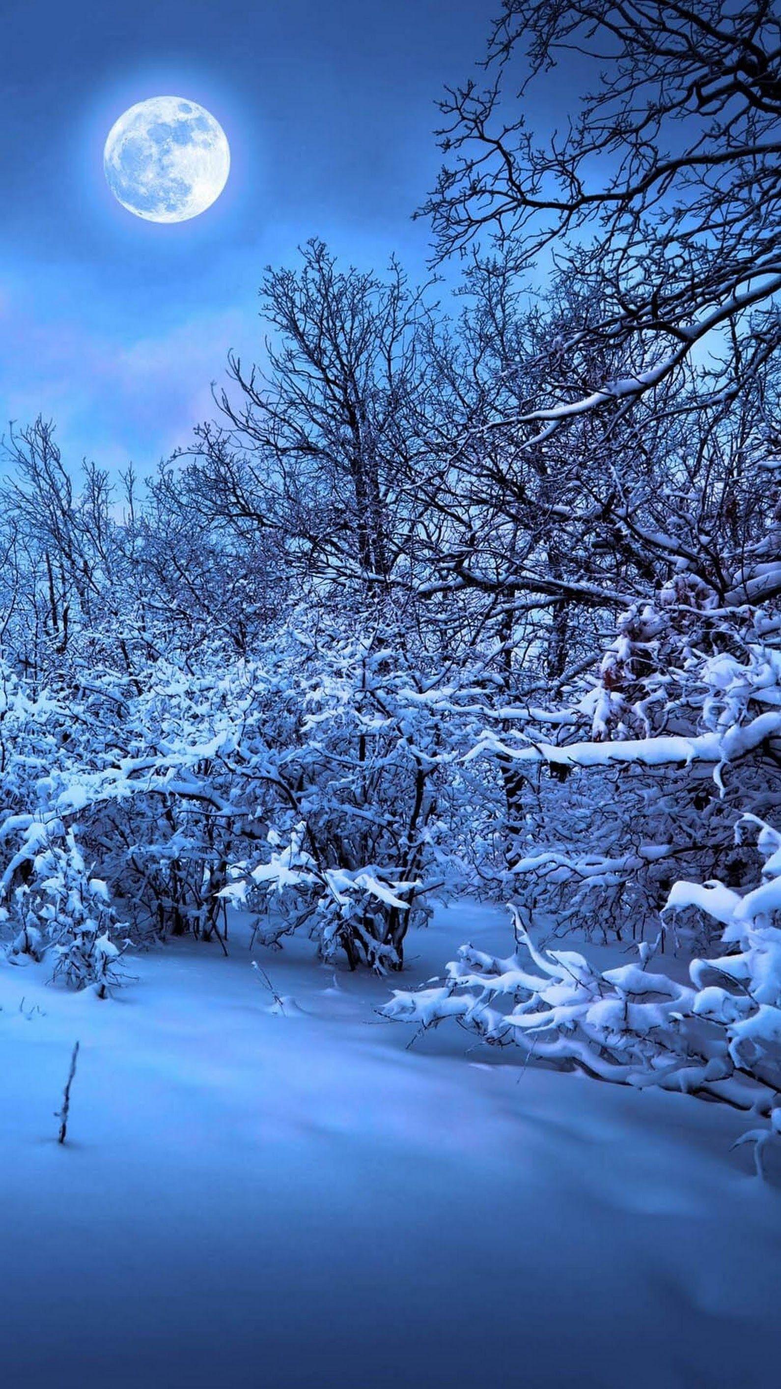 1590x2826 Sign in. iPhone wallpaper winter, Winter background, Winter wallpaper hd