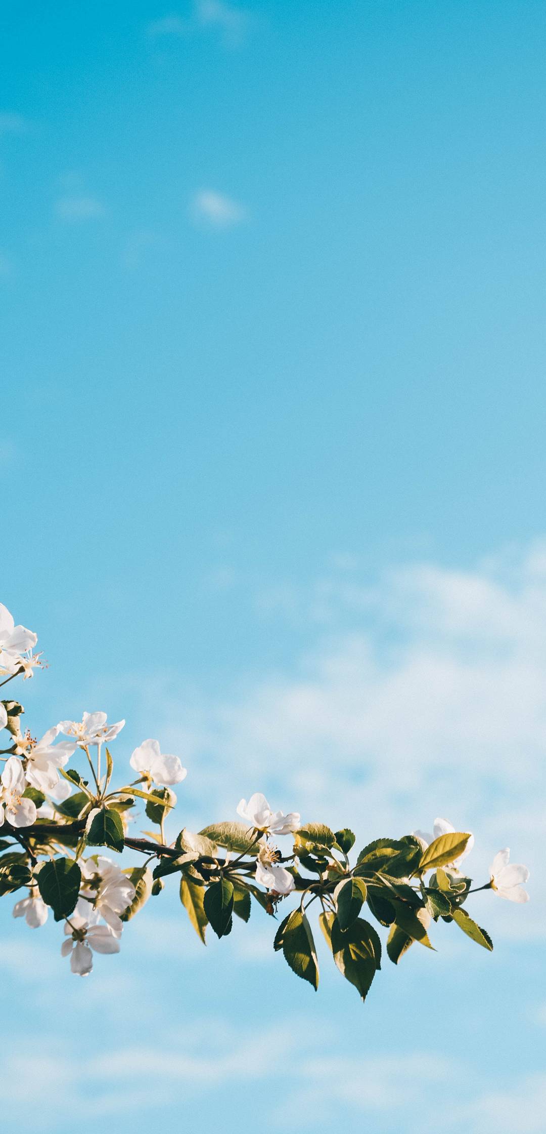 1080x2240 Huawei P20 Wallpaper Best Full HD Resolution