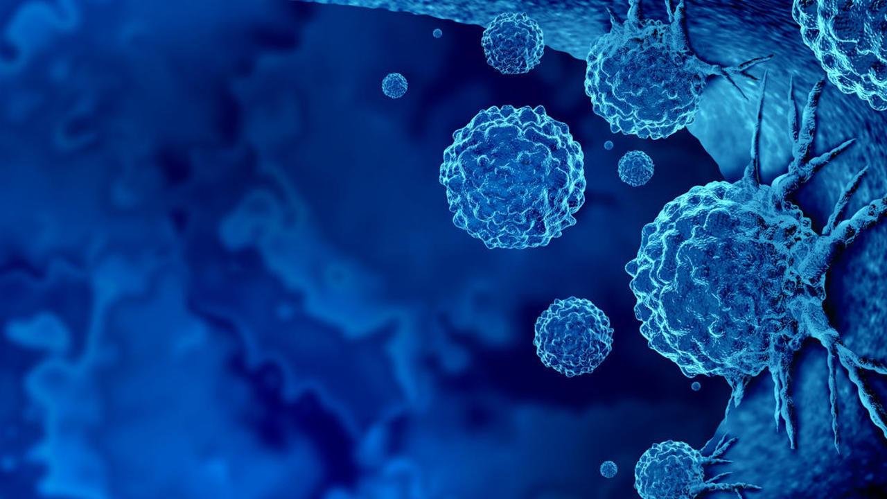 1280x720 Biomea Fusion Stock: Patience Is Warranted (NASDAQ:BMEA)
