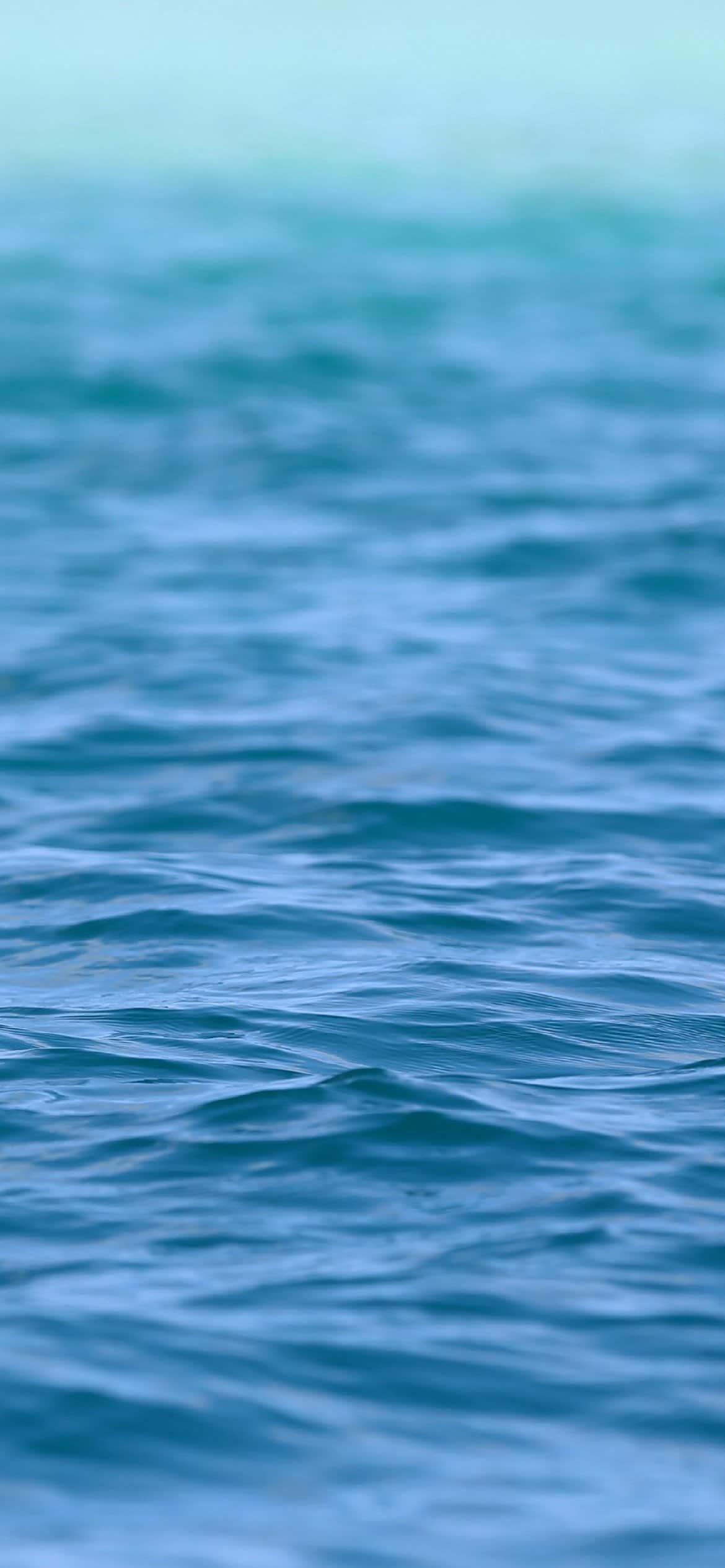 1170x2532 Blue Aesthetic Wallpaper Background That Are Perfect For Your Phone