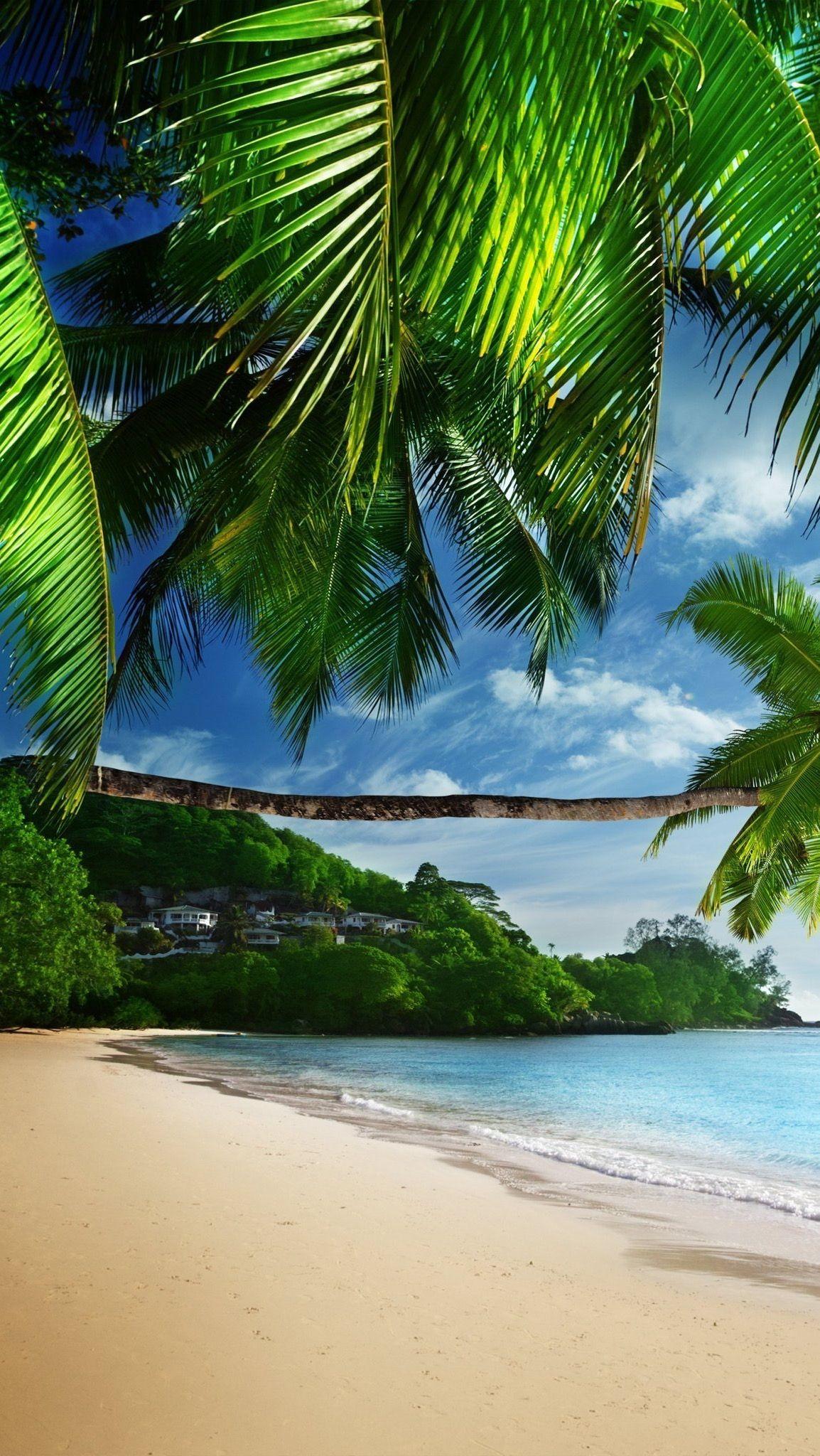 1154x2048 Обои wallpaper iPhone. Beach wallpaper, Beautiful beaches, Beach paradise