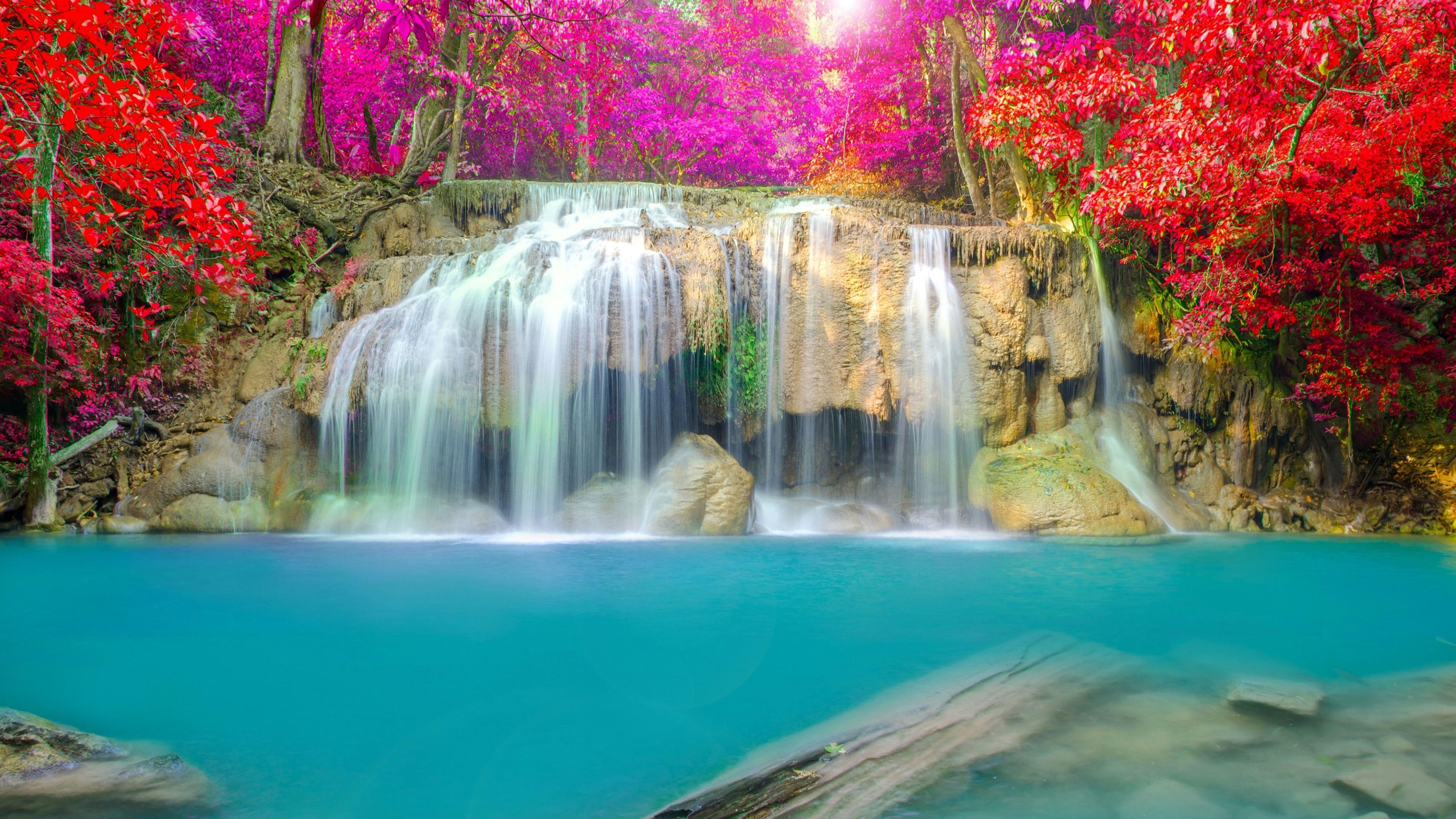 3840x2160 Rainbow Spring Nature Park Wallpaper