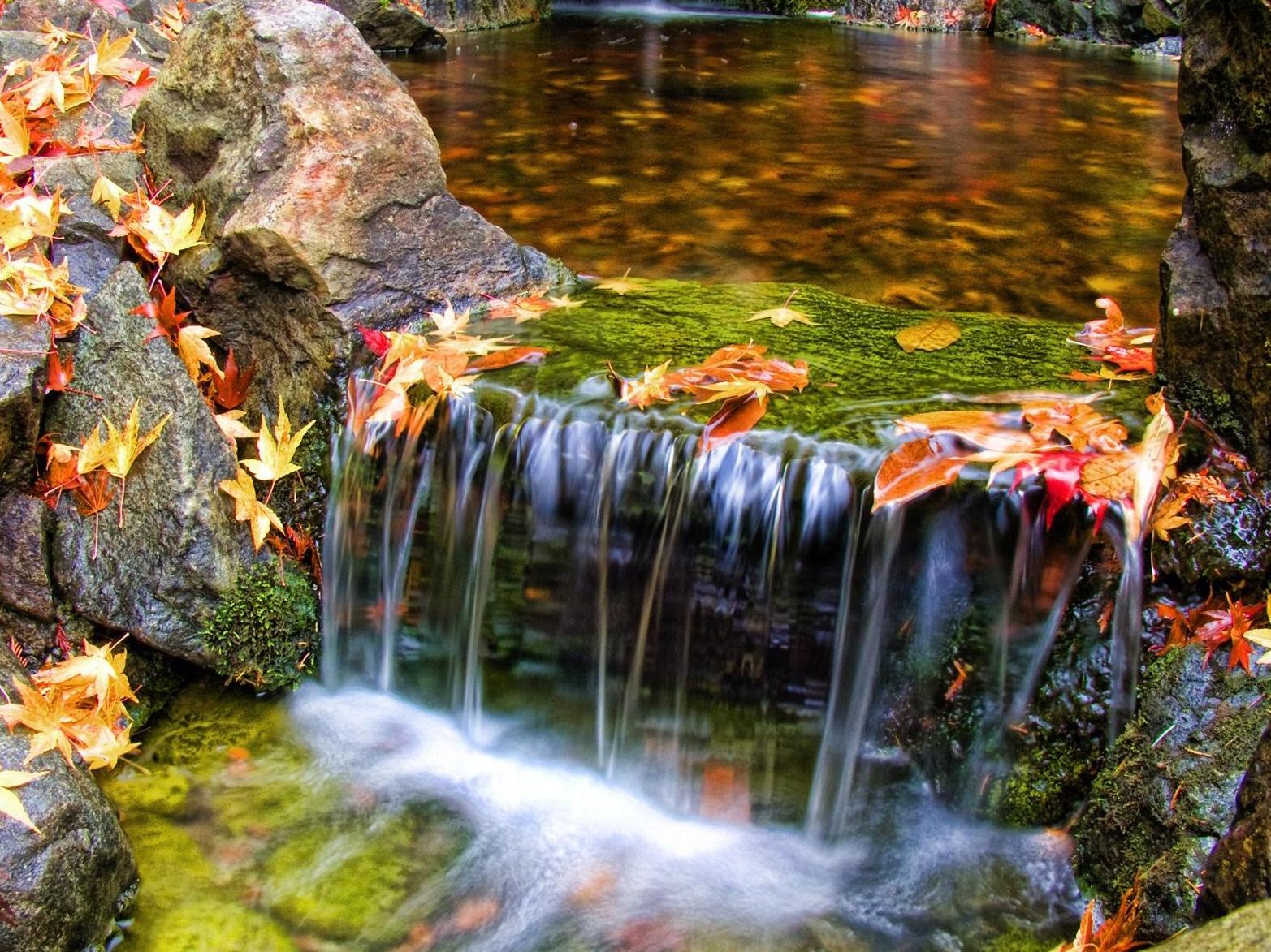 1565x1173 Beautiful Butchart Gardens Waterfall Nature Scenery Beautiful Natural Scenery