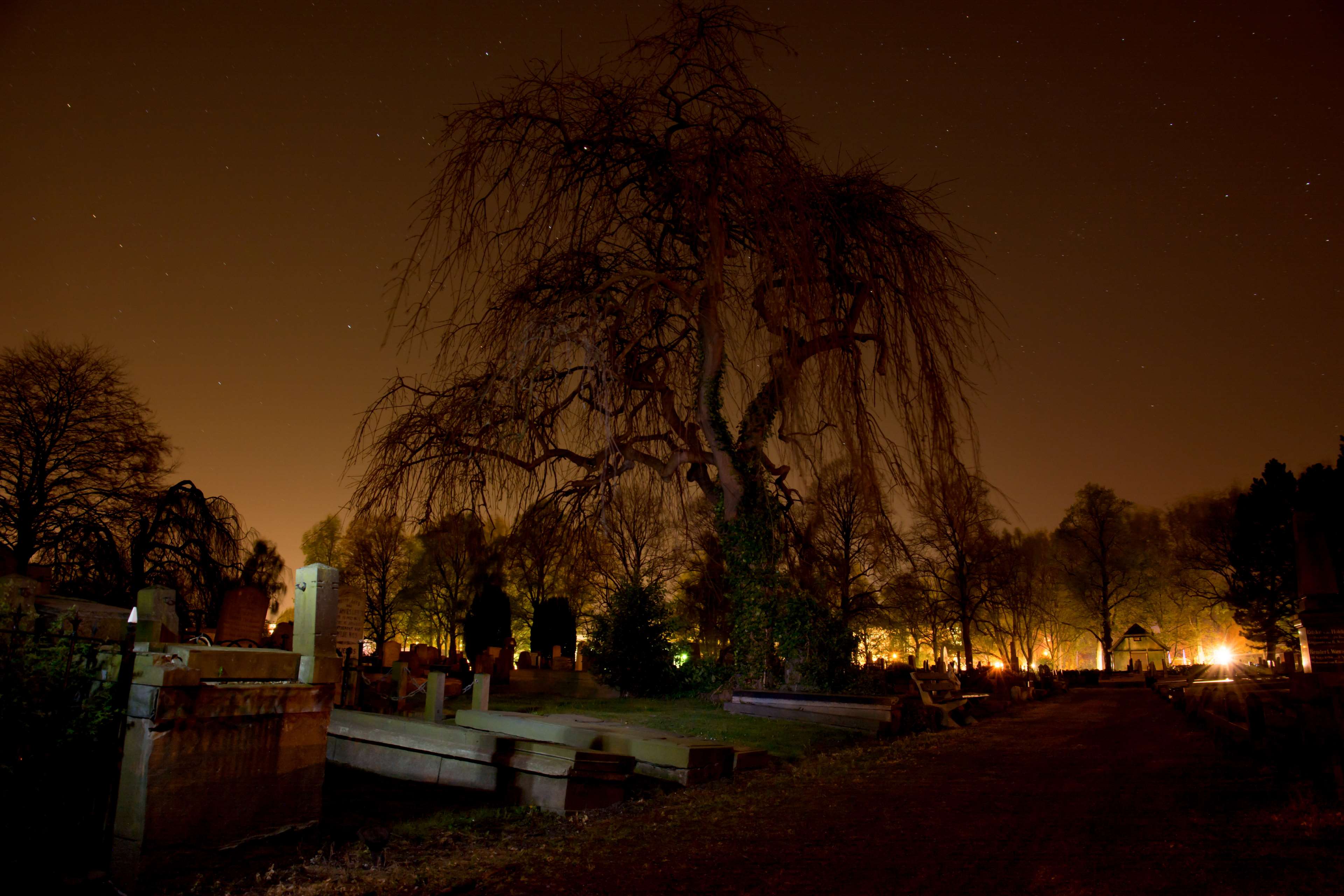 3840x2560 cemetery, dark, graveyard, night, spooky, sullen, tree 4k wallpaper
