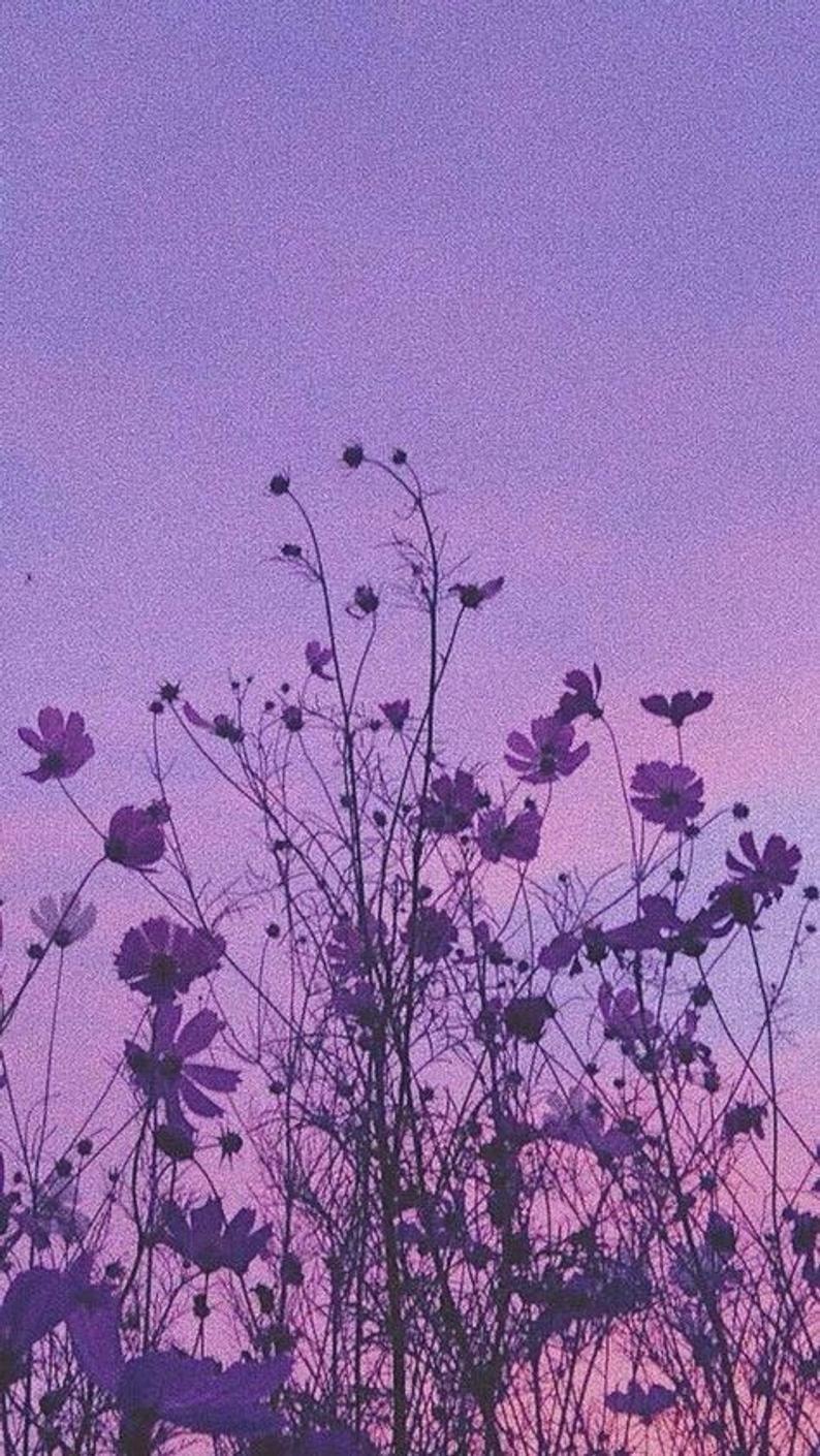 794x1410 light purple photo collage kit - [purple aesthetic, vintage decor, college dorm decor, room decor, printed and shipped]. Papel de parede roxo, Estética pastel, Papel de parede lilás