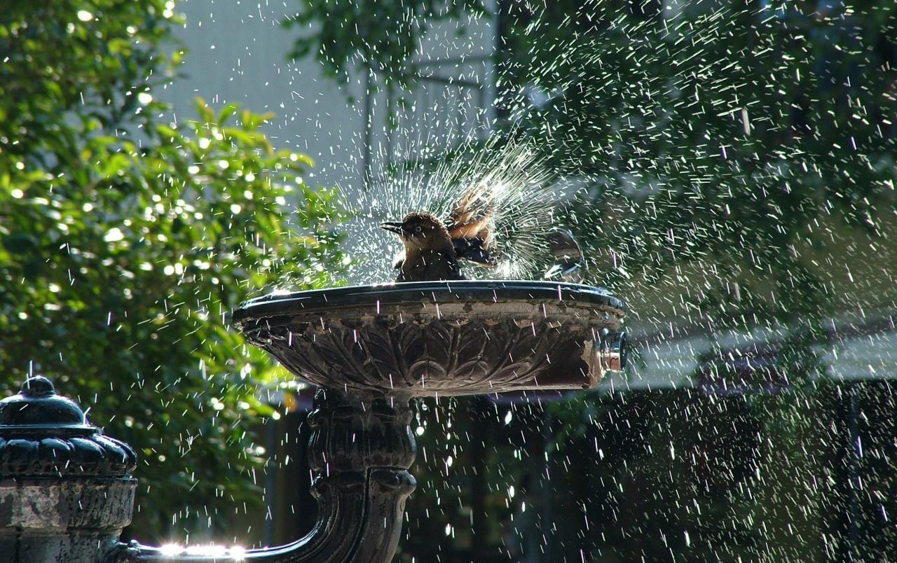 1280x804 Playing with Water wallpaper. Playing with Water