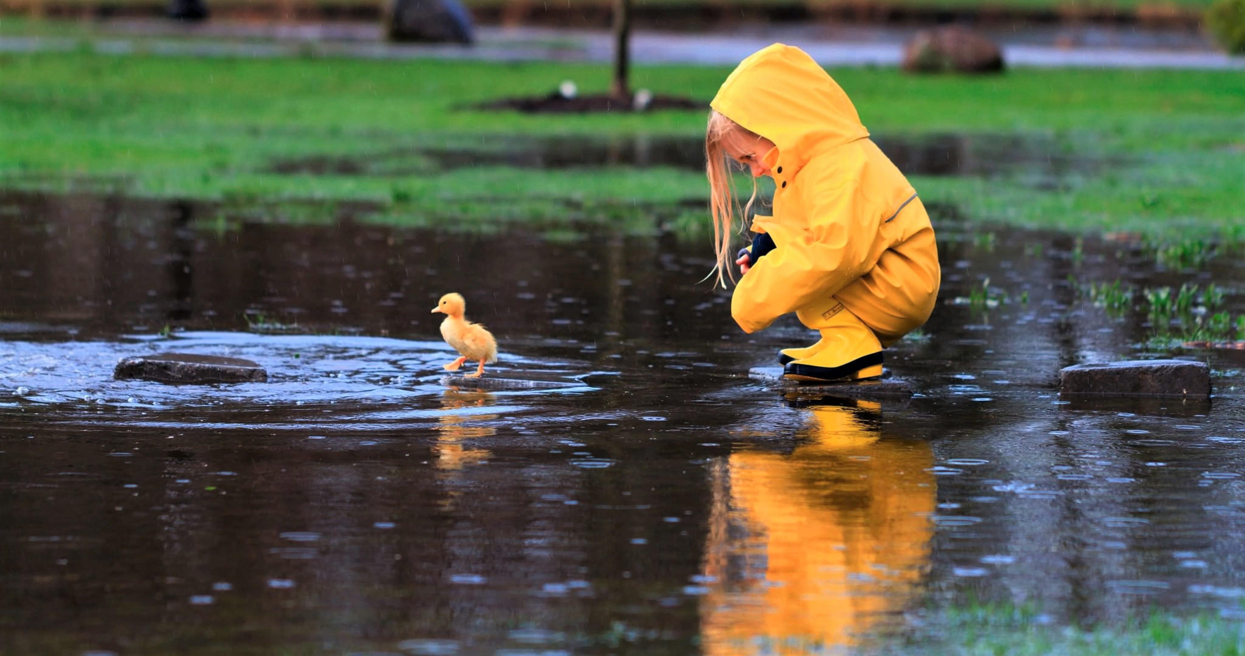 4096x2160 Little Girl Playing With Duckling Macbook Pro Retina HD 4k Wallpaper, Image, Background, Photo and Picture
