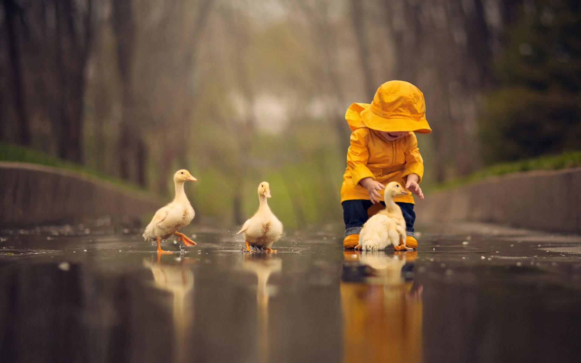 1920x1200 People wallpaper, childhood, rain, children, cubs, goose, play, funny • Wallpaper For You HD Wallpaper For Desktop & Mobile