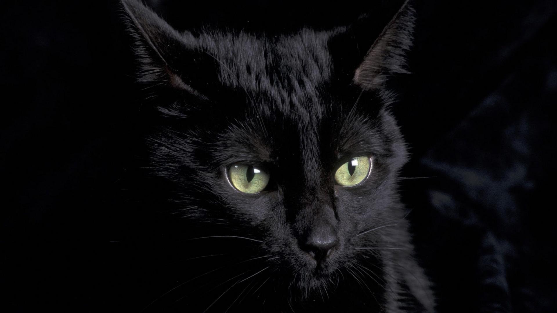 1920x1080 Cute Black Wallpaper For Mac Wallpaper Aesthetic