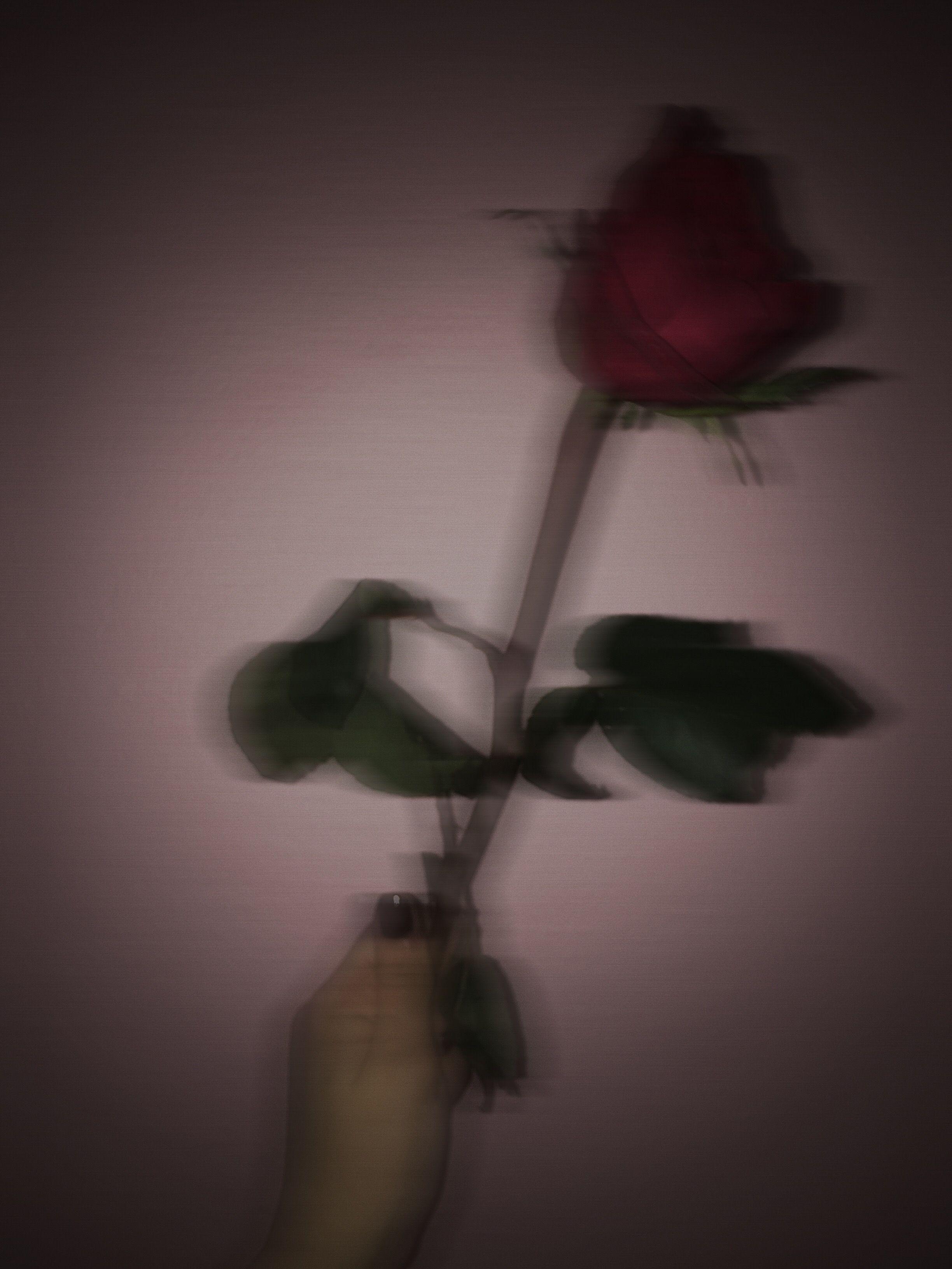 2448x3264 Aesthetics Flower Grunge Wallpaper