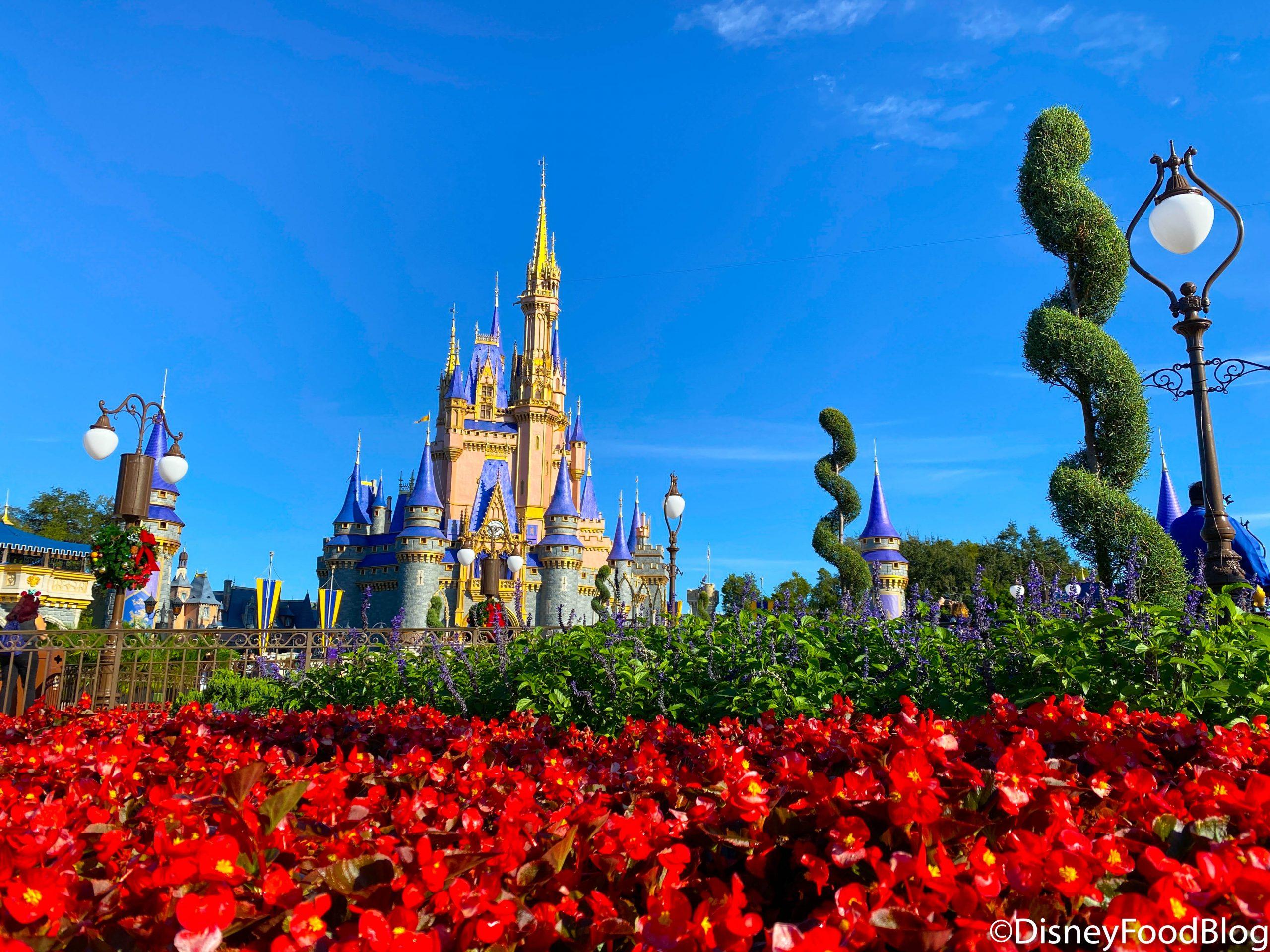 2560x1920 Our FREE Gift to YOU! 29 Disney World Wallpaper From DFB!. the disney food blog