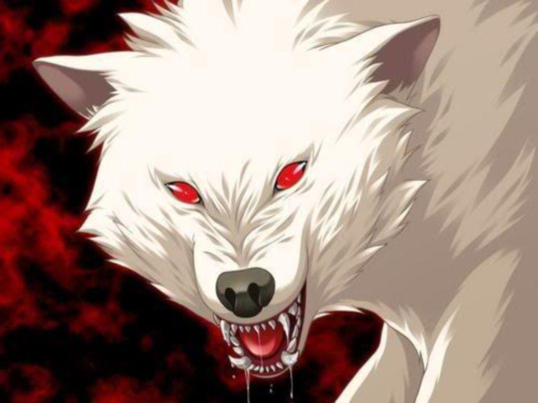 1077x808 Evil White Wolf Wallpaper