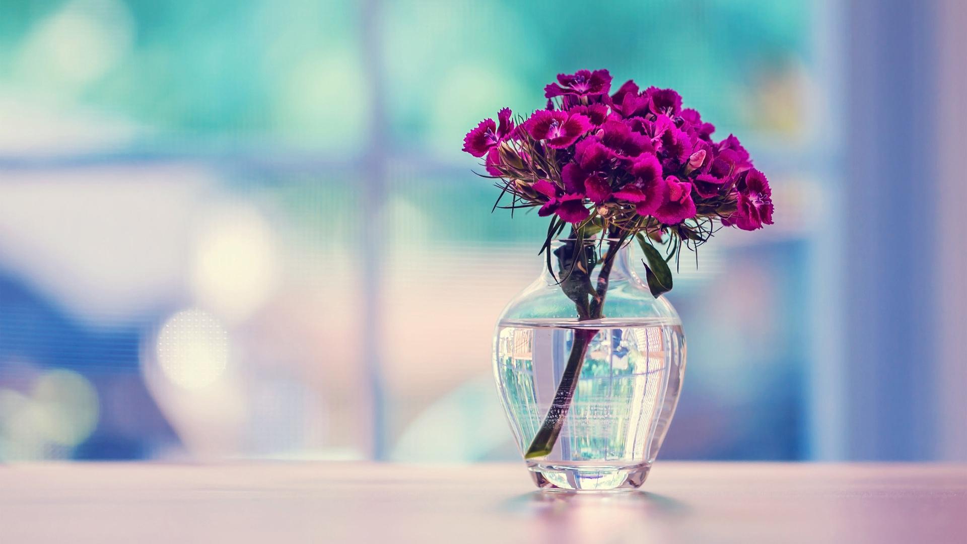 1920x1080 Purple Flower in a Vase HD Desktop Wallpaper Background download