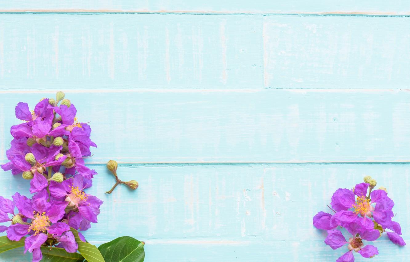 1332x850 Wallpaper flowers, background, tree, blue, Board, wood, blue, flowers, purple image for desktop, section цветы