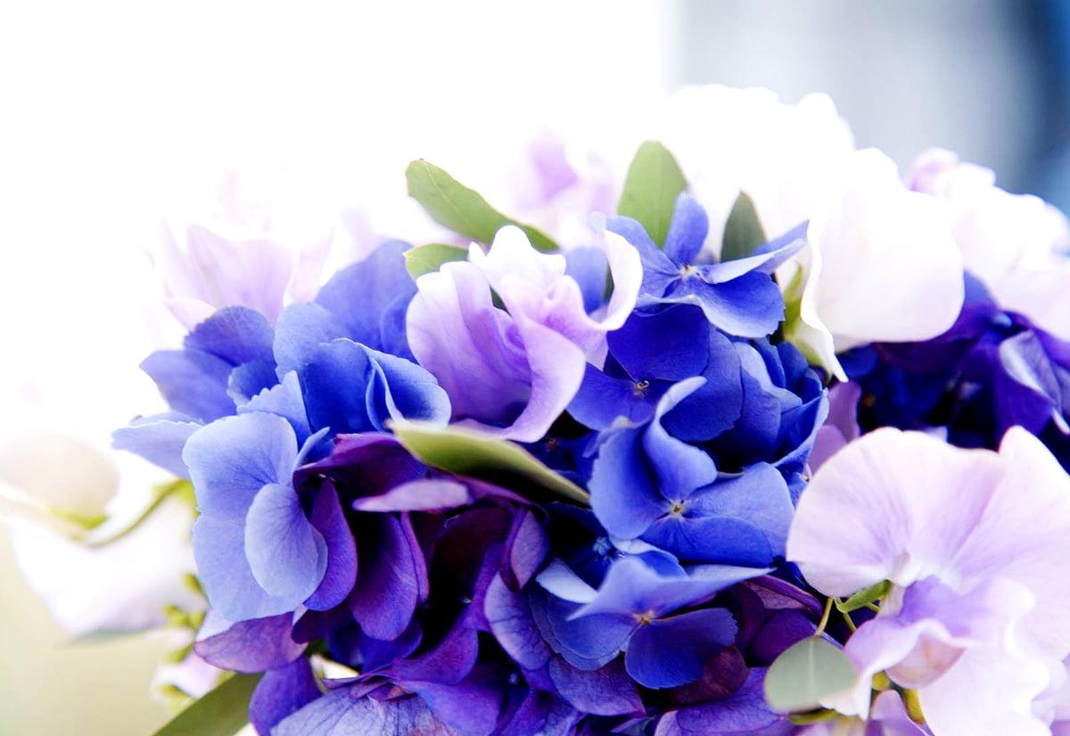 1200x825 Flowers, Flower Mosaic, Blue wallpaper. Download Best Free picture