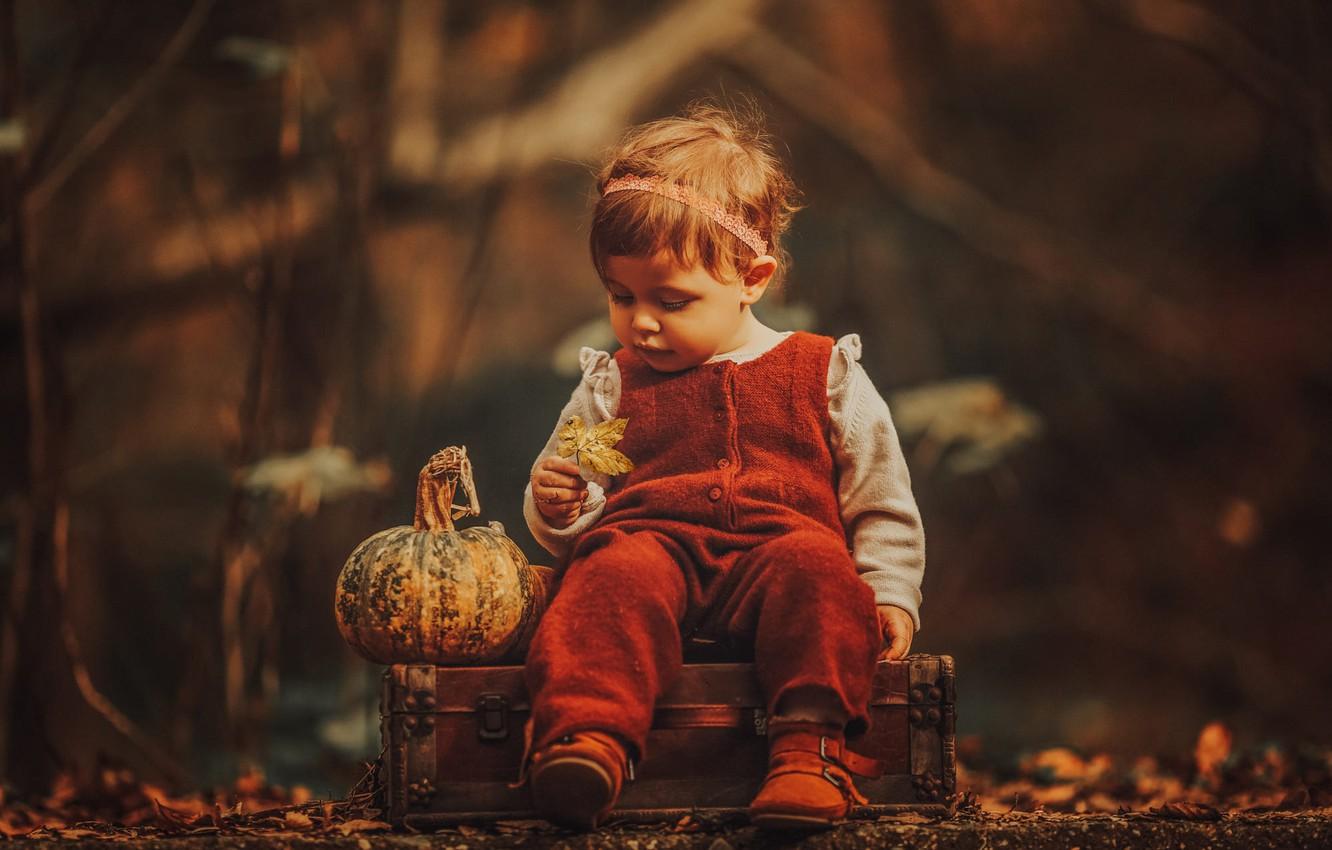 1332x850 Wallpaper autumn, nature, sheet, girl, pumpkin, suitcase, jumpsuit, baby, child image for desktop, section настроения