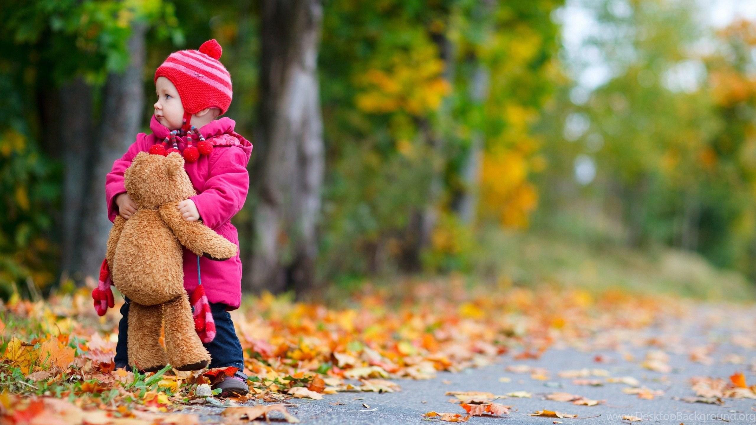 2560x1440 Child girl bear toy autumn leaves nature photo HD wallpaper. Desktop Background