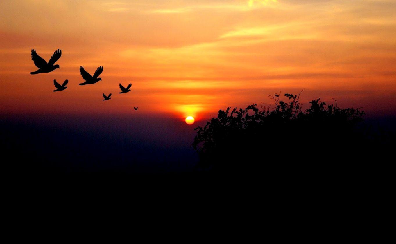 Evening Sunset Wallpapers - Top Free Evening Sunset Backgrounds ...